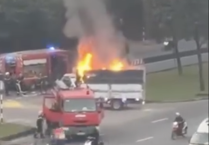 - Ảnh 1. - Ảnh 1.