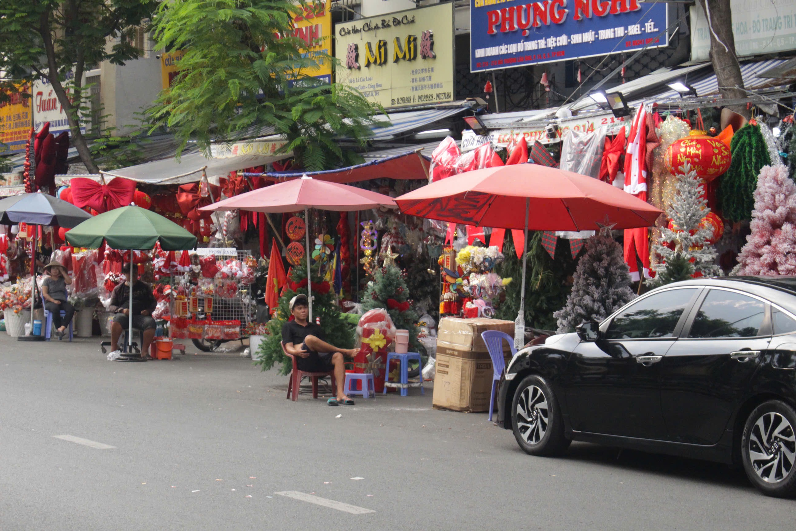 - Ảnh 2. - Ảnh 2.