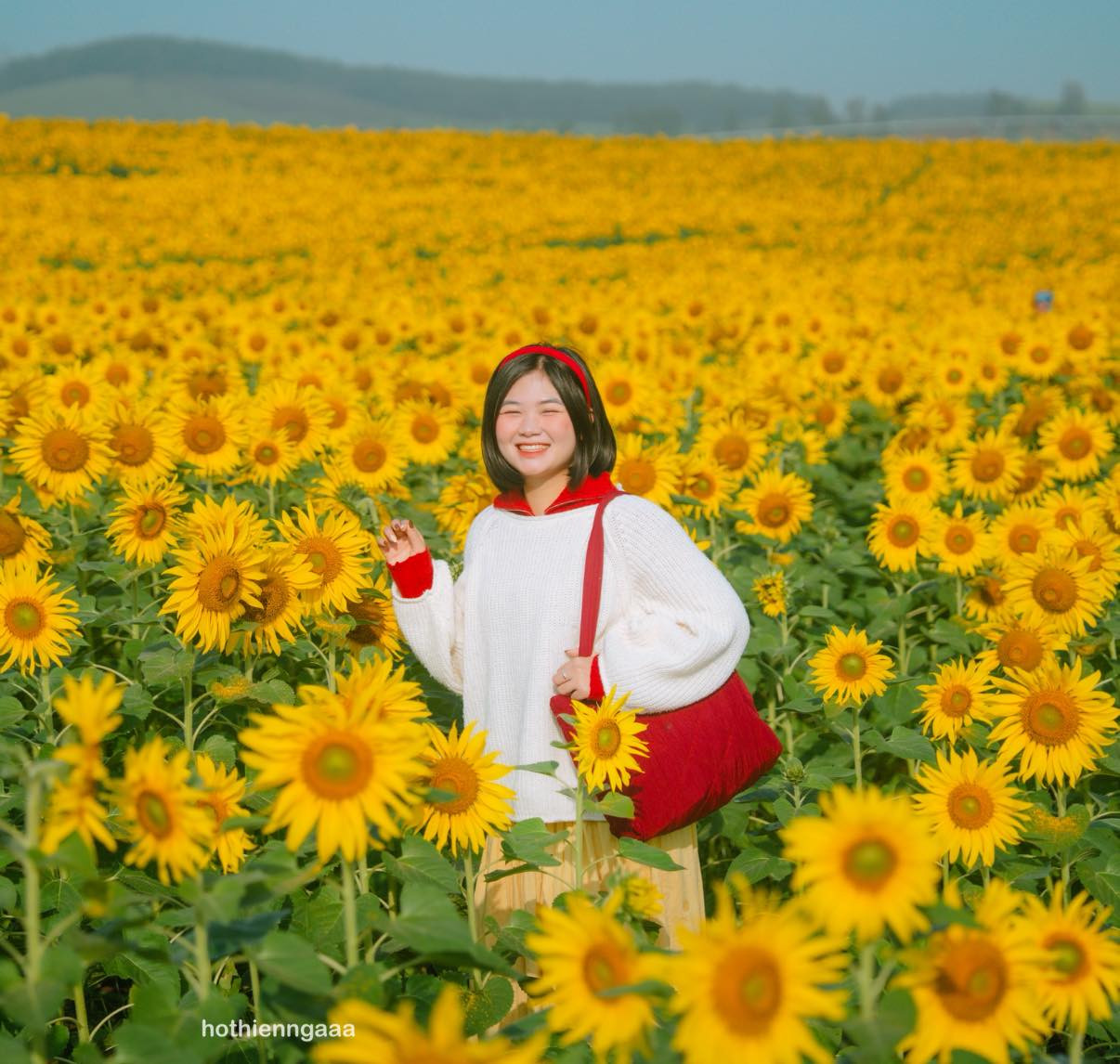 C&aacute;nh đồng hoa hướng dương ở Nghệ An c&aacute;ch H&agrave; Nội 250km , điểm check - in l&yacute; tưởng - Ảnh 5.