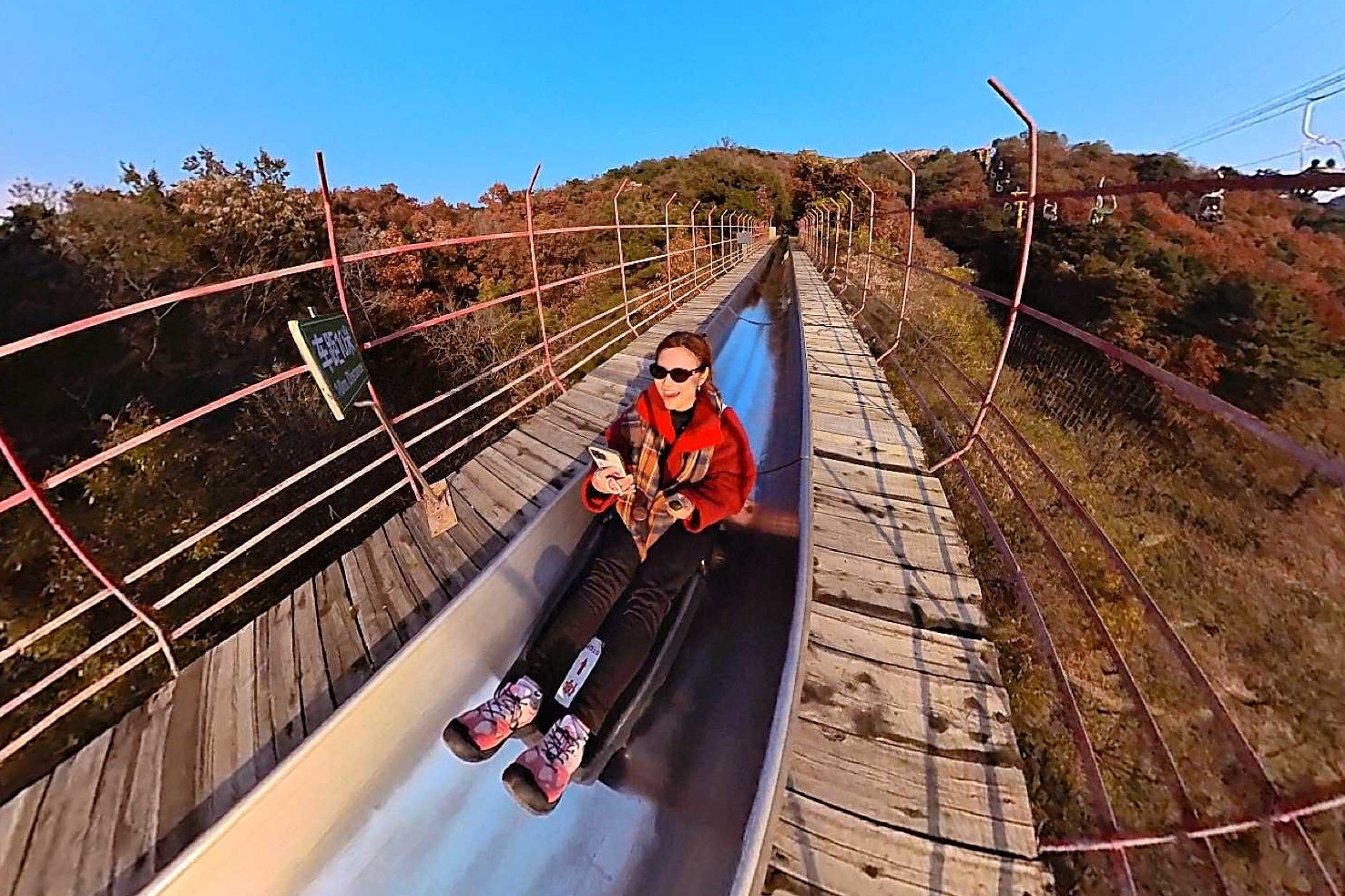 C&aacute;nh đồng hoa hướng dương ở Nghệ An c&aacute;ch H&agrave; Nội 250km , điểm check - in l&yacute; tưởng - Ảnh 8.