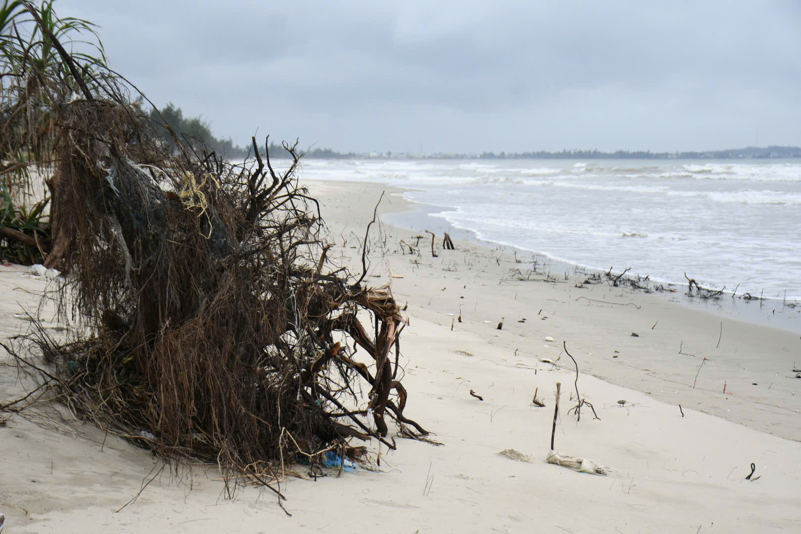 Bãi biển Mỹ Khê nguy cơ bị xóa sổ do triều cường lớn bất thường "tấn công" - Ảnh 5.