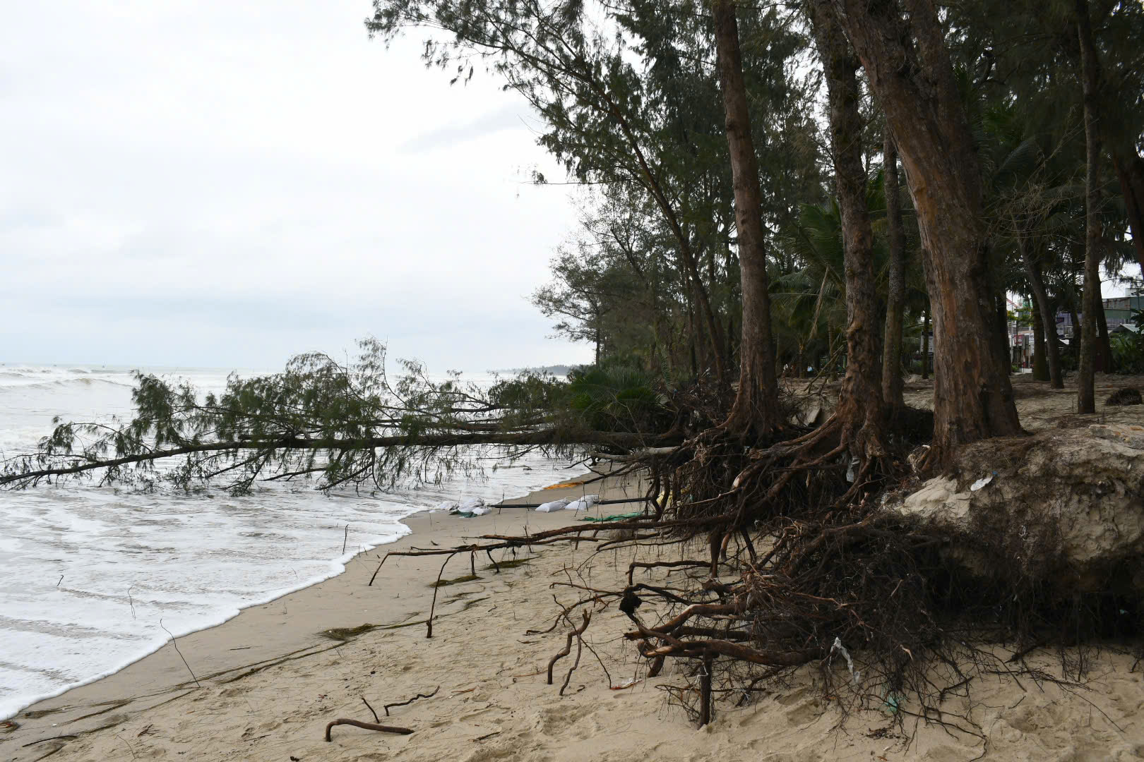Bãi biển Mỹ Khê nguy cơ bị xóa sổ do triều cường lớn bất thường "tấn công" - Ảnh 1.