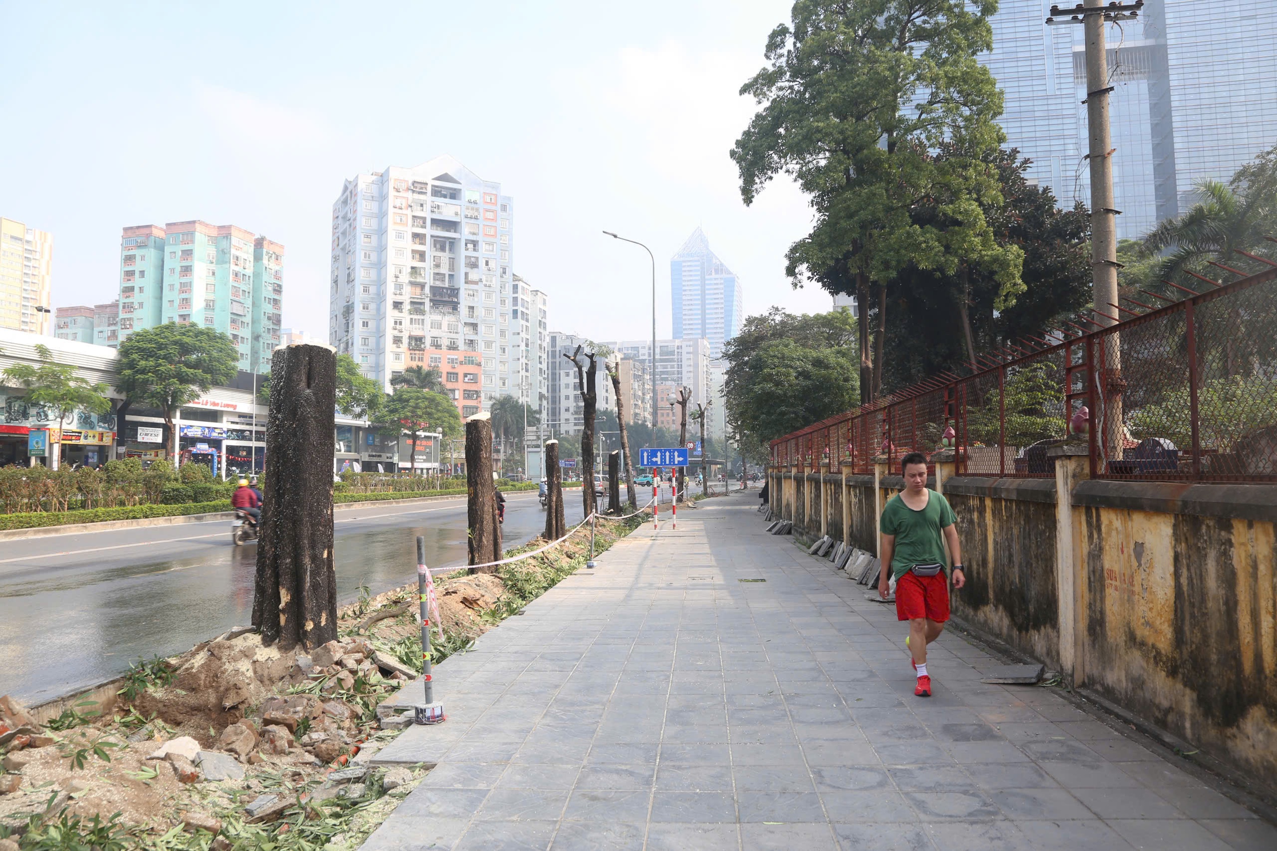 Di dời c&acirc;y xanh v&agrave; cải tạo hạ tầng giảm &ugrave;n tắc giao th&ocirc;ng tại H&agrave; Nội - Ảnh 7.