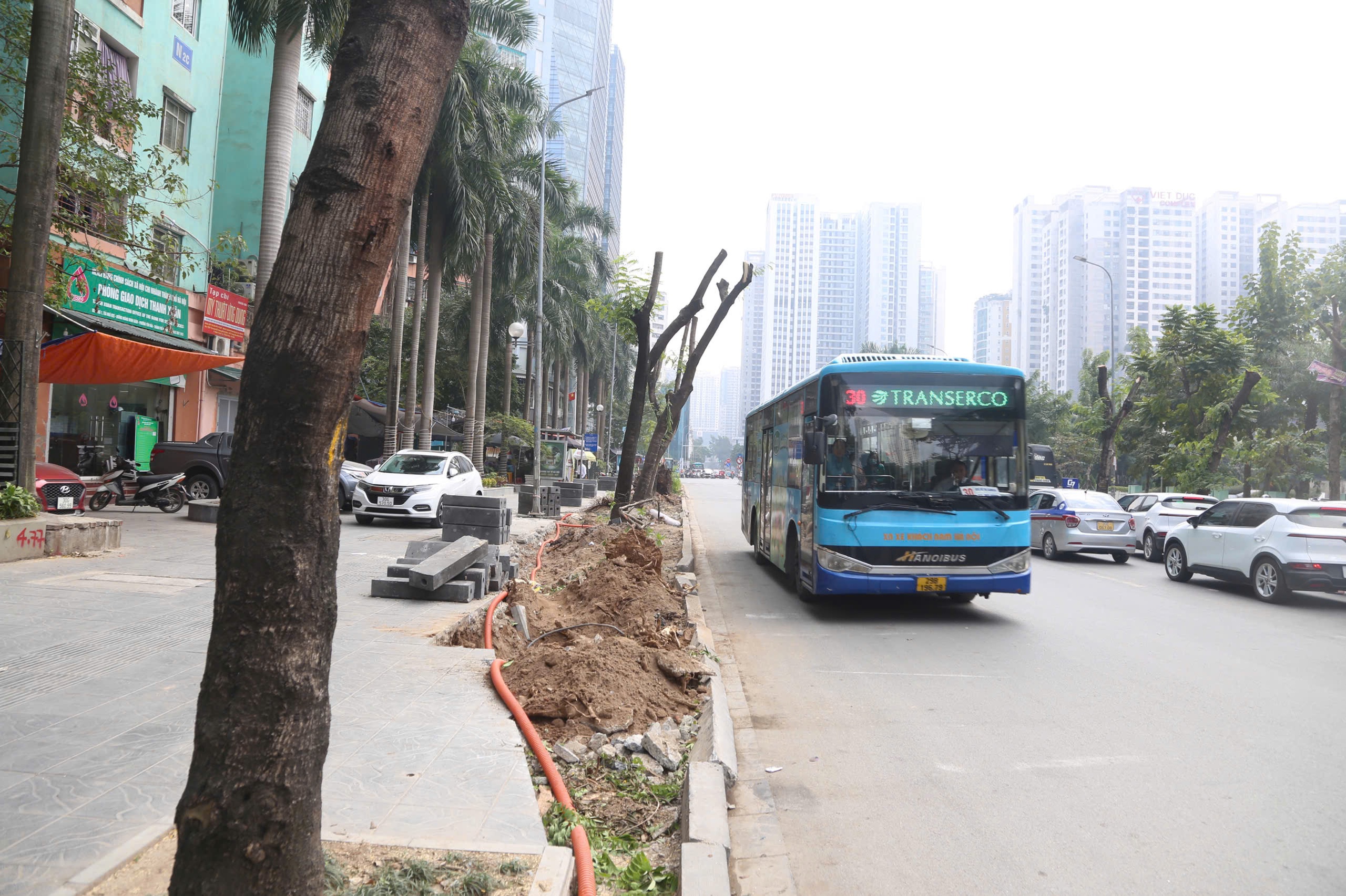 Di dời c&acirc;y xanh v&agrave; cải tạo hạ tầng giảm &ugrave;n tắc giao th&ocirc;ng tại H&agrave; Nội - Ảnh 2.