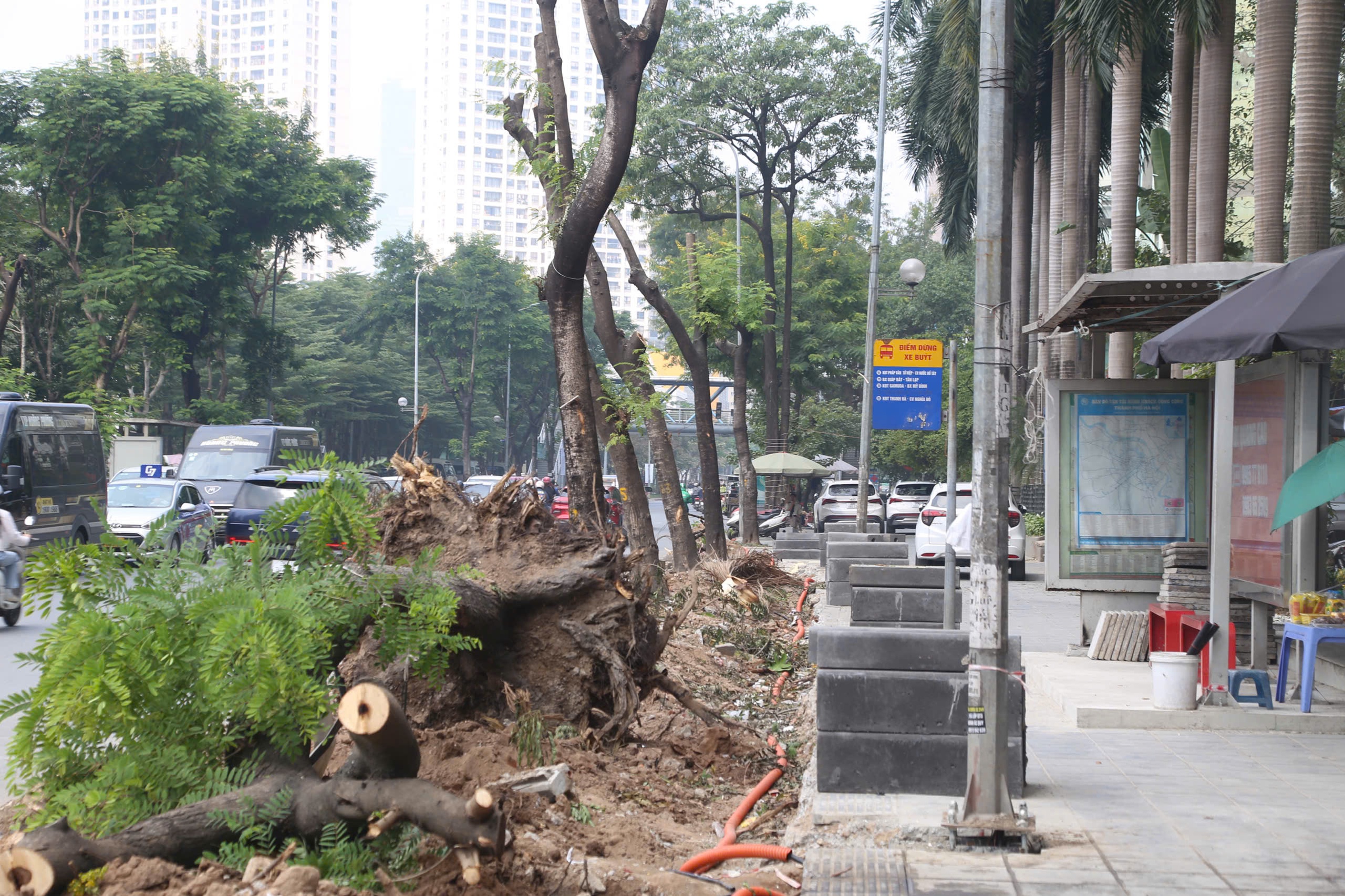Di dời c&acirc;y xanh v&agrave; cải tạo hạ tầng giảm &ugrave;n tắc giao th&ocirc;ng tại H&agrave; Nội - Ảnh 5.
