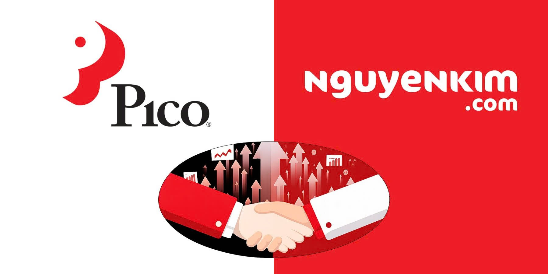 Pico Holdings ký thỏa thuận mua lại chuỗi điện máy Nguyễn Kim - Ảnh 1.
