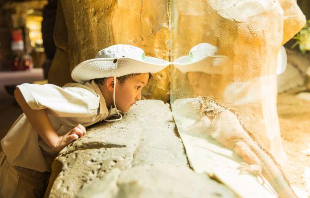 10 năm Vinpearl Safari Phú Quốc: Dấu ấn tiên phong của safari bán hoang dã đầu tiên tại Việt Nam - Ảnh 12. 10 năm Vinpearl Safari Phú Quốc: Dấu ấn tiên phong của safari bán hoang dã đầu tiên tại Việt Nam - Ảnh 12.