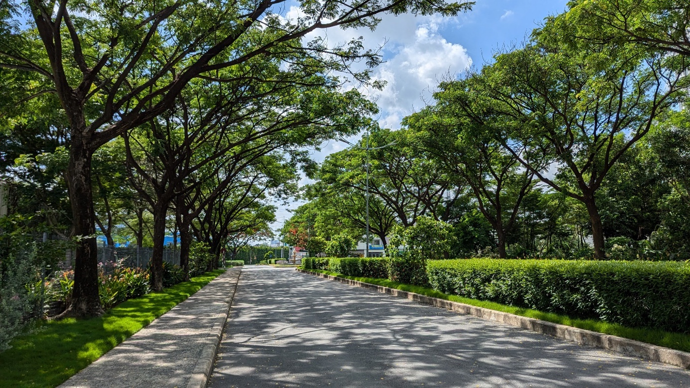 Setia Edenia: Trải nghiệm sống tại “ốc đảo xanh” hiếm hoi giữa thủ phủ công nghiệp - Ảnh 3.