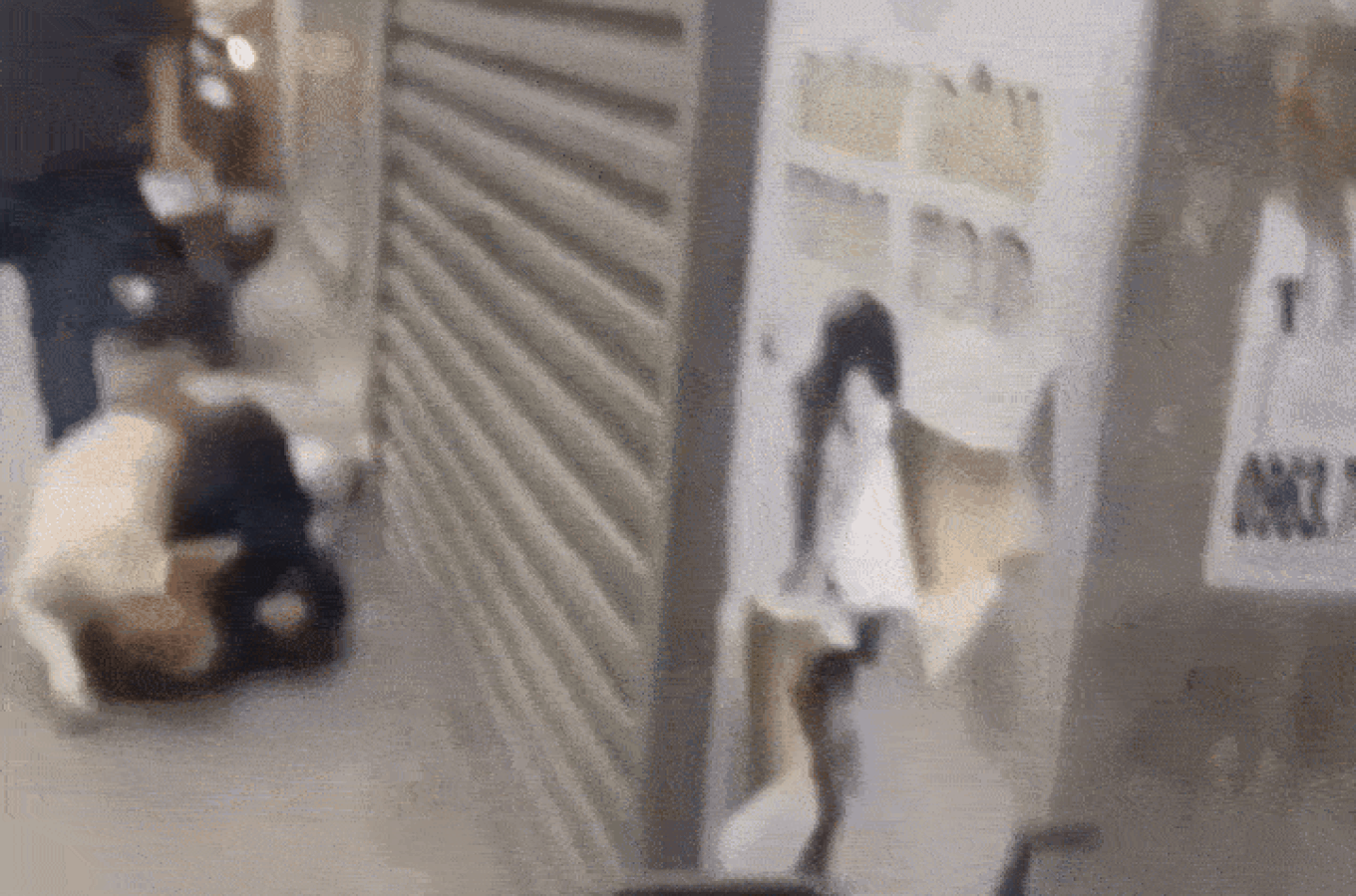 Thanh ni&ecirc;n chỉ đạo ch&oacute; tấn c&ocirc;ng phụ nữ giữa x&ocirc; x&aacute;t ở H&agrave; Nội - Ảnh 1.