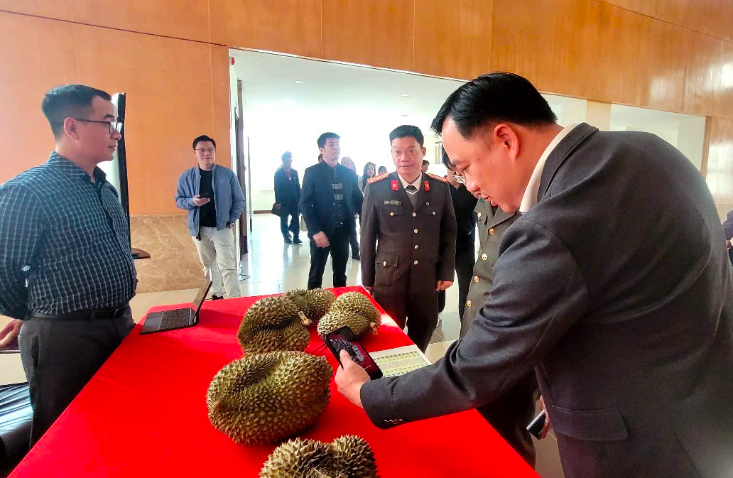 Thí điểm truy xuất nguồn gốc sầu riêng từ 1-1-2026 - Ảnh 1.