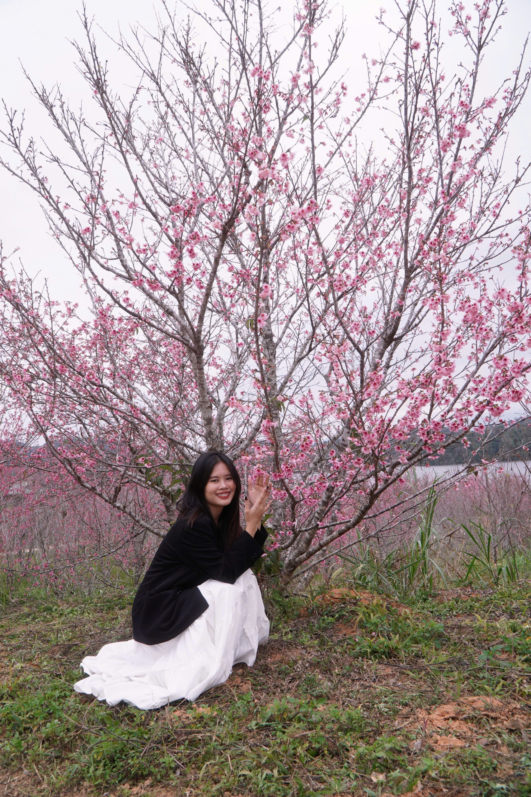 Tết Dương lịch n&agrave;y, l&ecirc;n Điện Bi&ecirc;n check-in rừng hoa anh đảo đang nở rộ - Ảnh 4.