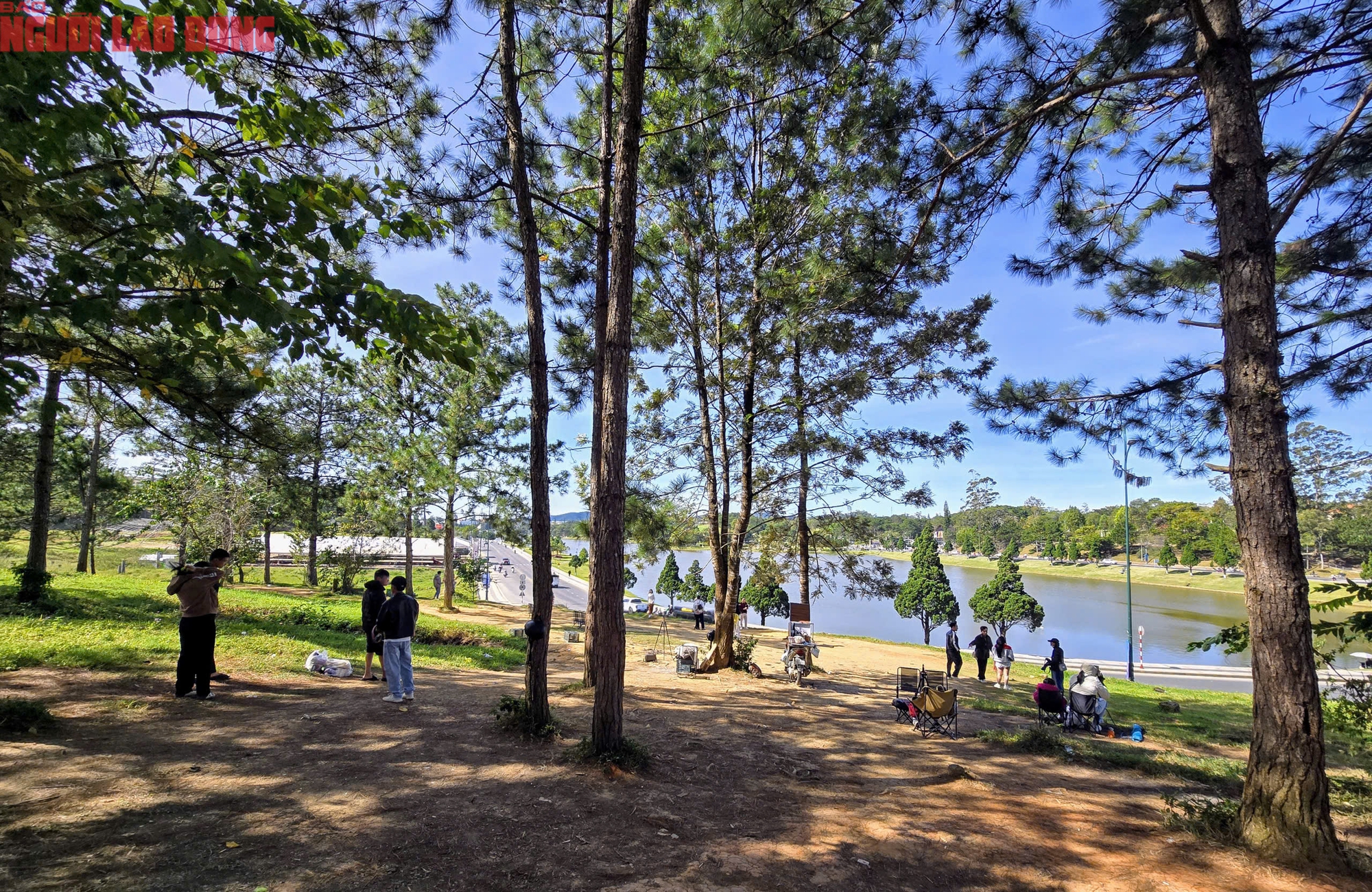 Con dốc c&oacute; view si&ecirc;u đẹp ở Đ&agrave; Lạt, mỗi ng&agrave;y thu h&uacute;t h&agrave;ng trăm du kh&aacute;ch đến check-in - Ảnh 1.