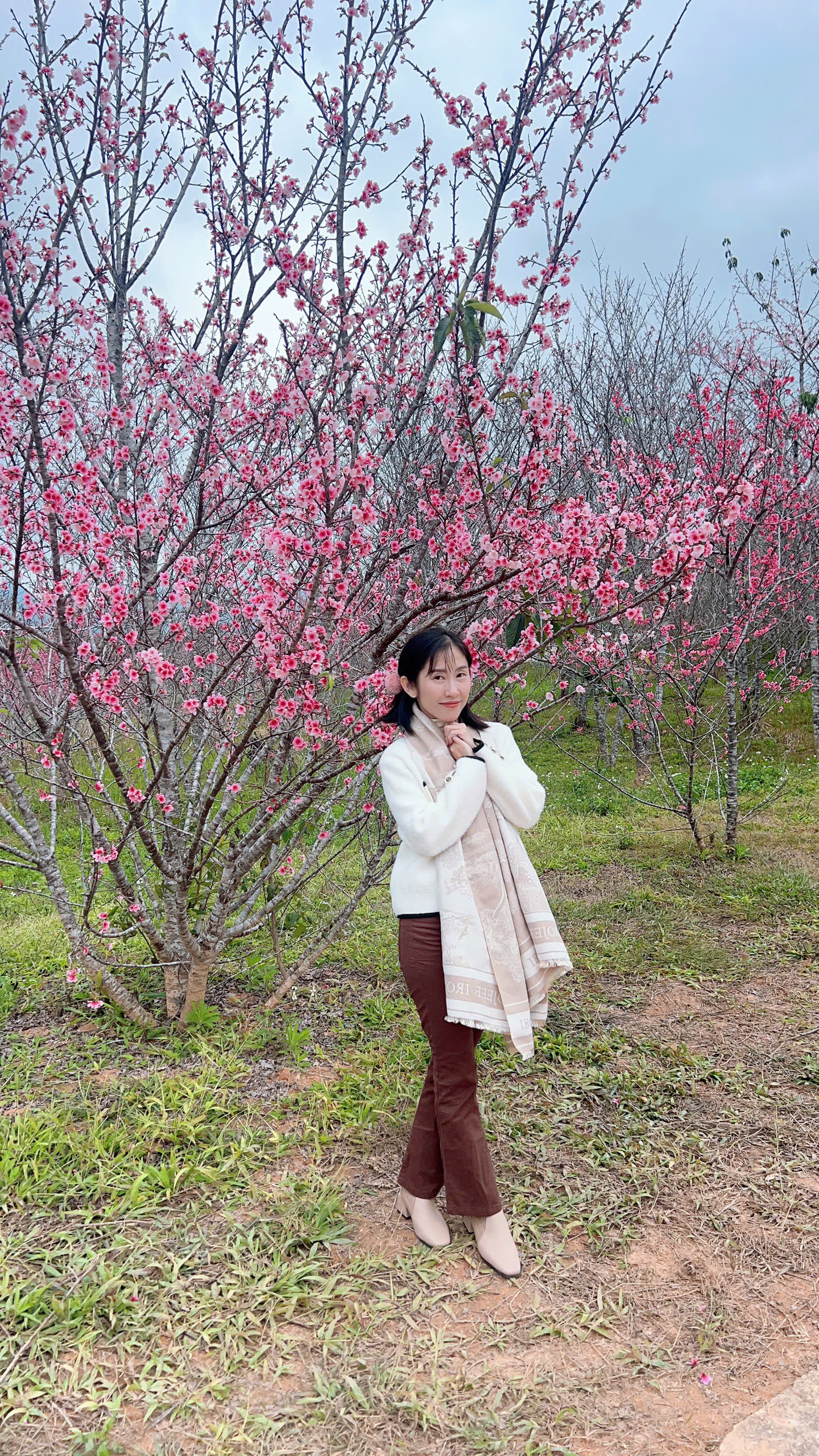 Tết Dương lịch n&agrave;y, l&ecirc;n Điện Bi&ecirc;n check-in rừng hoa anh đảo đang nở rộ - Ảnh 3.