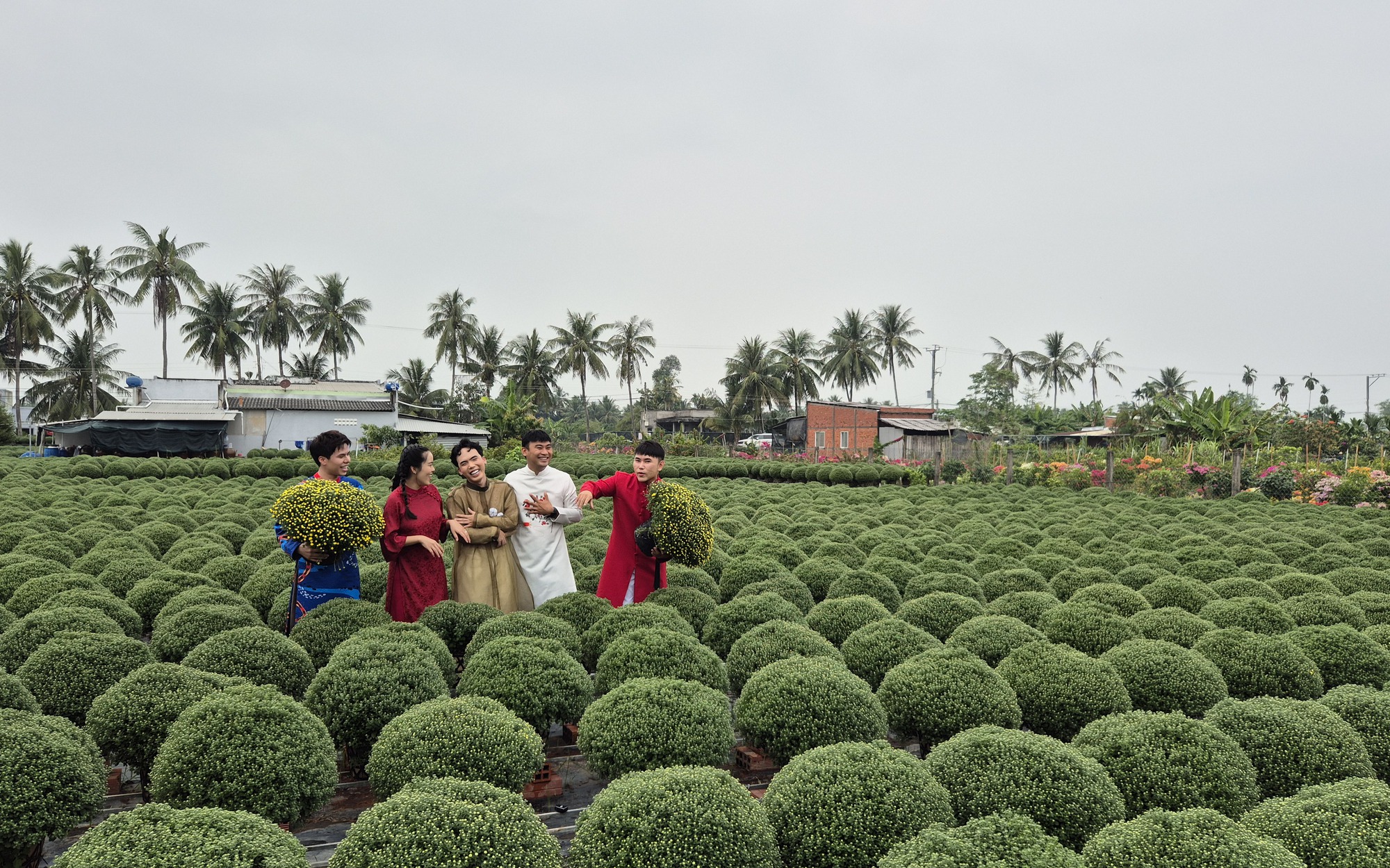 Làng hoa Tết gượng dậy sau bão lũ - Ảnh 2.