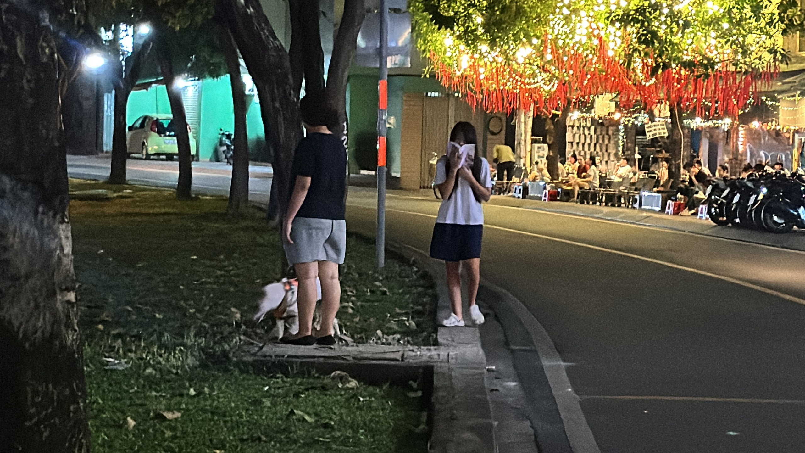 H&igrave;nh ảnh ch&oacute; thả r&ocirc;ng "ngh&ecirc;nh ngang" tại TPHCM - Ảnh 4.