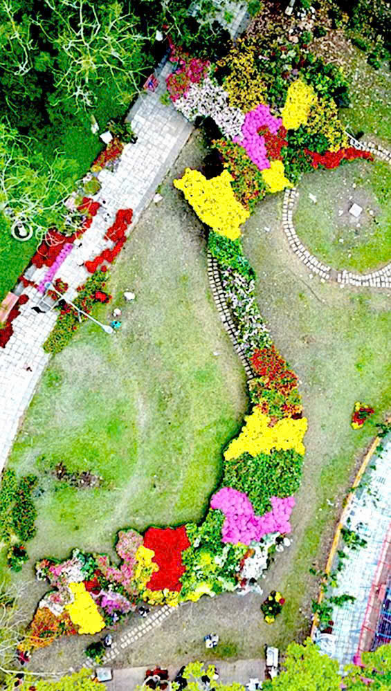 Kỷ lục Bản đồ Việt Nam từ 1 . 000 Giống hoa kiểng tại Festival Sa Đ&eacute;c lần 2 - Ảnh 12.