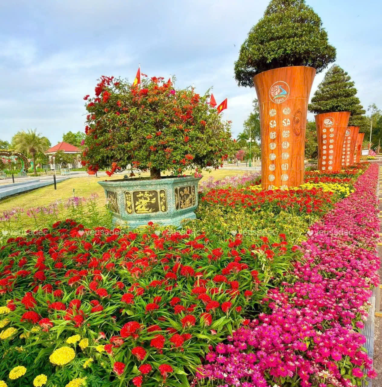 Kỷ lục Bản đồ Việt Nam từ 1 . 000 Giống hoa kiểng tại Festival Sa Đ&eacute;c lần 2 - Ảnh 5.