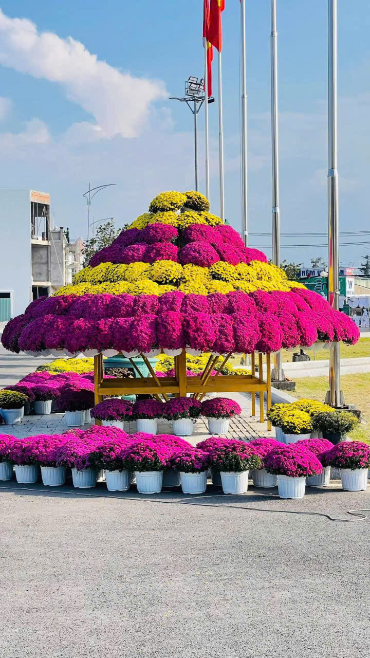 Kỷ lục Bản đồ Việt Nam từ 1 . 000 Giống hoa kiểng tại Festival Sa Đ&eacute;c lần 2 - Ảnh 8.