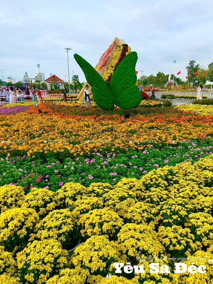 Kỷ lục Bản đồ Việt Nam từ 1 . 000 Giống hoa kiểng tại Festival Sa Đ&eacute;c lần 2 - Ảnh 9.