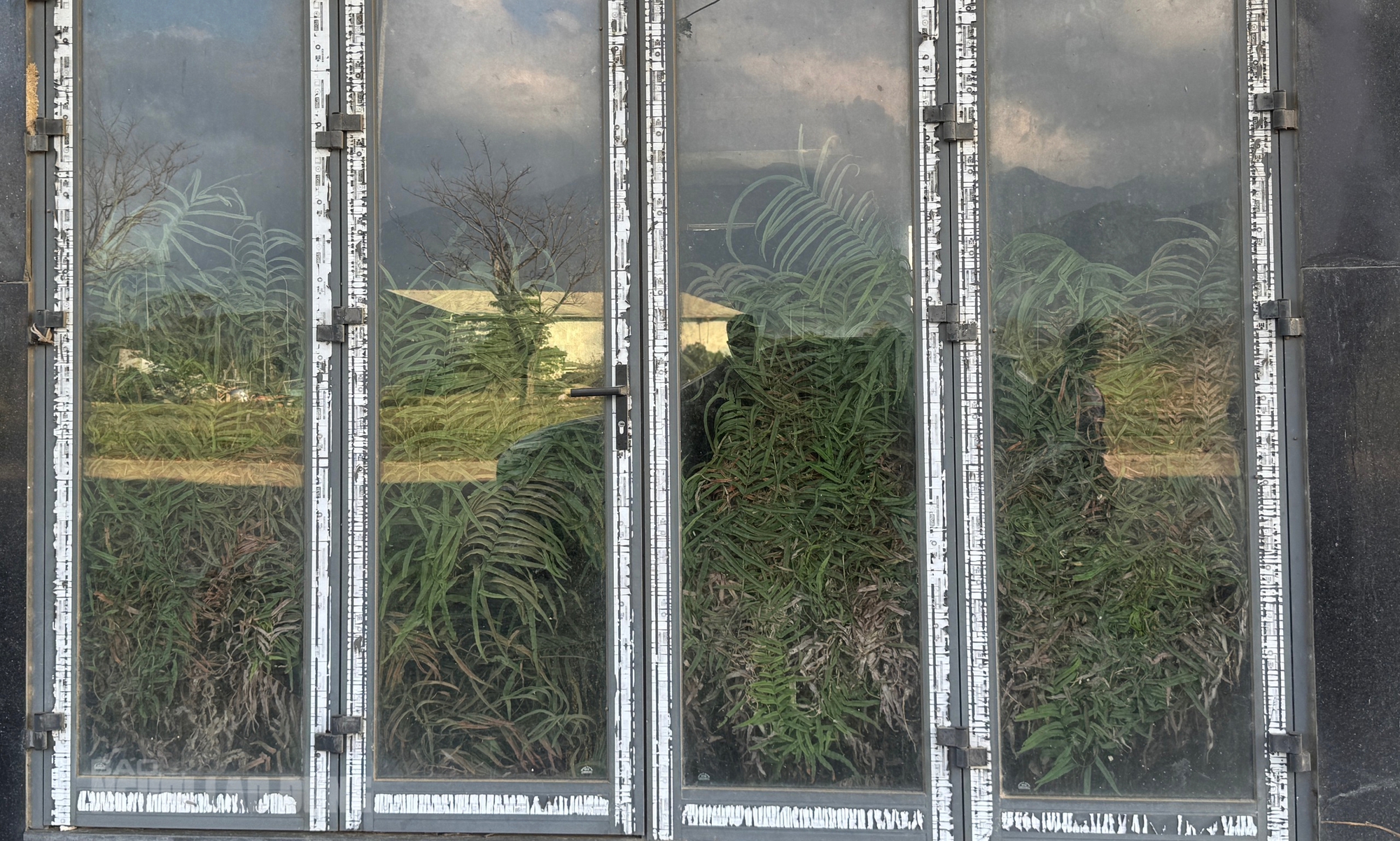 Cảnh hoang h&oacute;a ở khu đ&ocirc; thị sinh th&aacute;i ng&agrave;n tỉ Golden Hills City Đ&agrave; Nẵng sau 2 lần thanh tra - Ảnh 1.