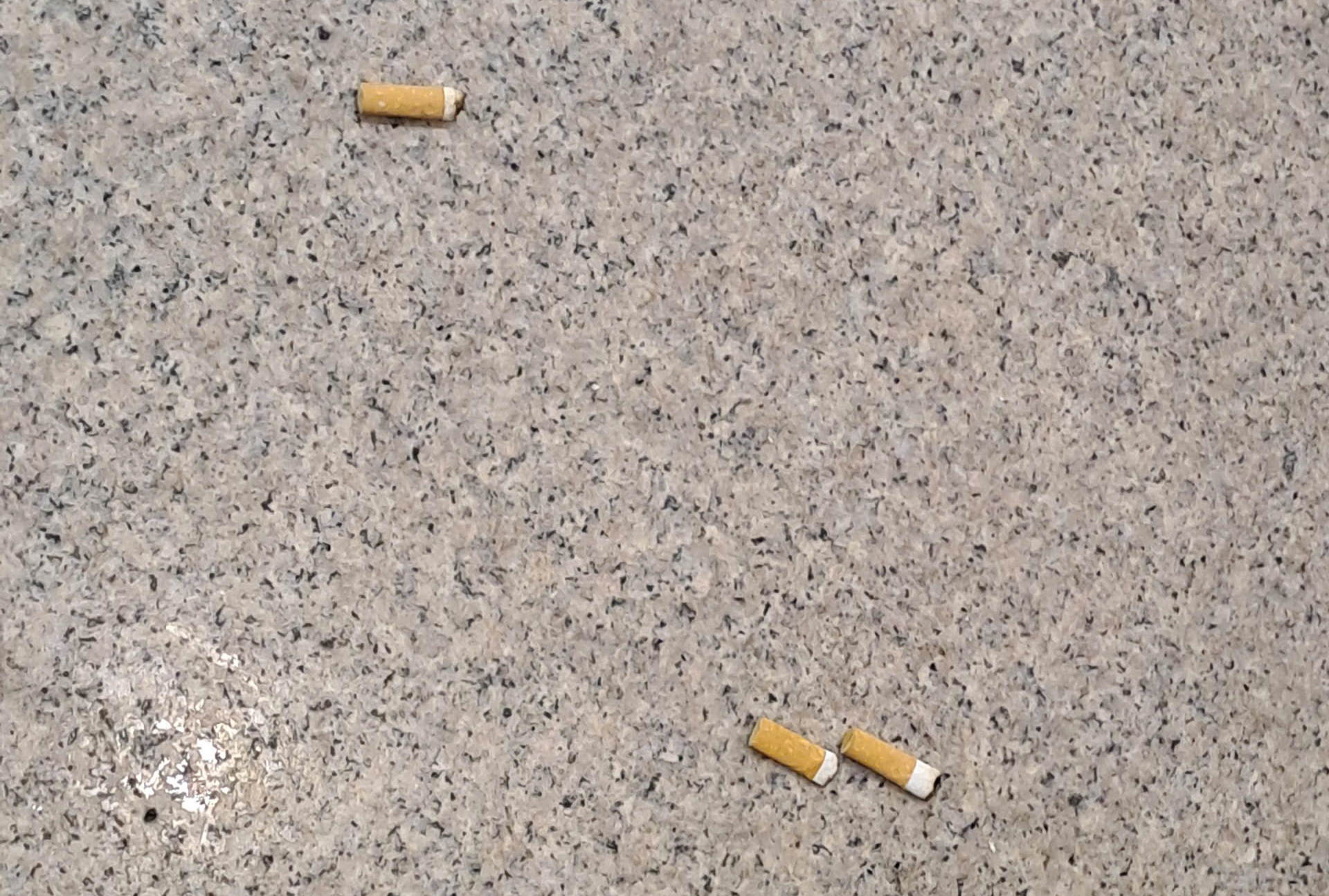 Xả r&aacute;c bừa b&atilde;i tại s&acirc;n bay T&acirc;n Sơn Nhất: Khi &yacute; thức c&ograve;n nhiều "khoảng trống" - Ảnh 6.