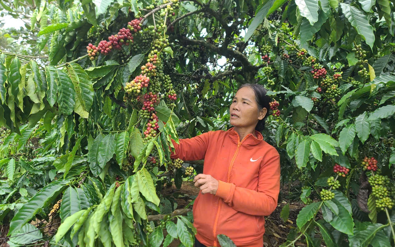 Nở rộ dịch vụ livestream bán hàng cận Tết: Xu hướng kinh tế mới - Ảnh 2.