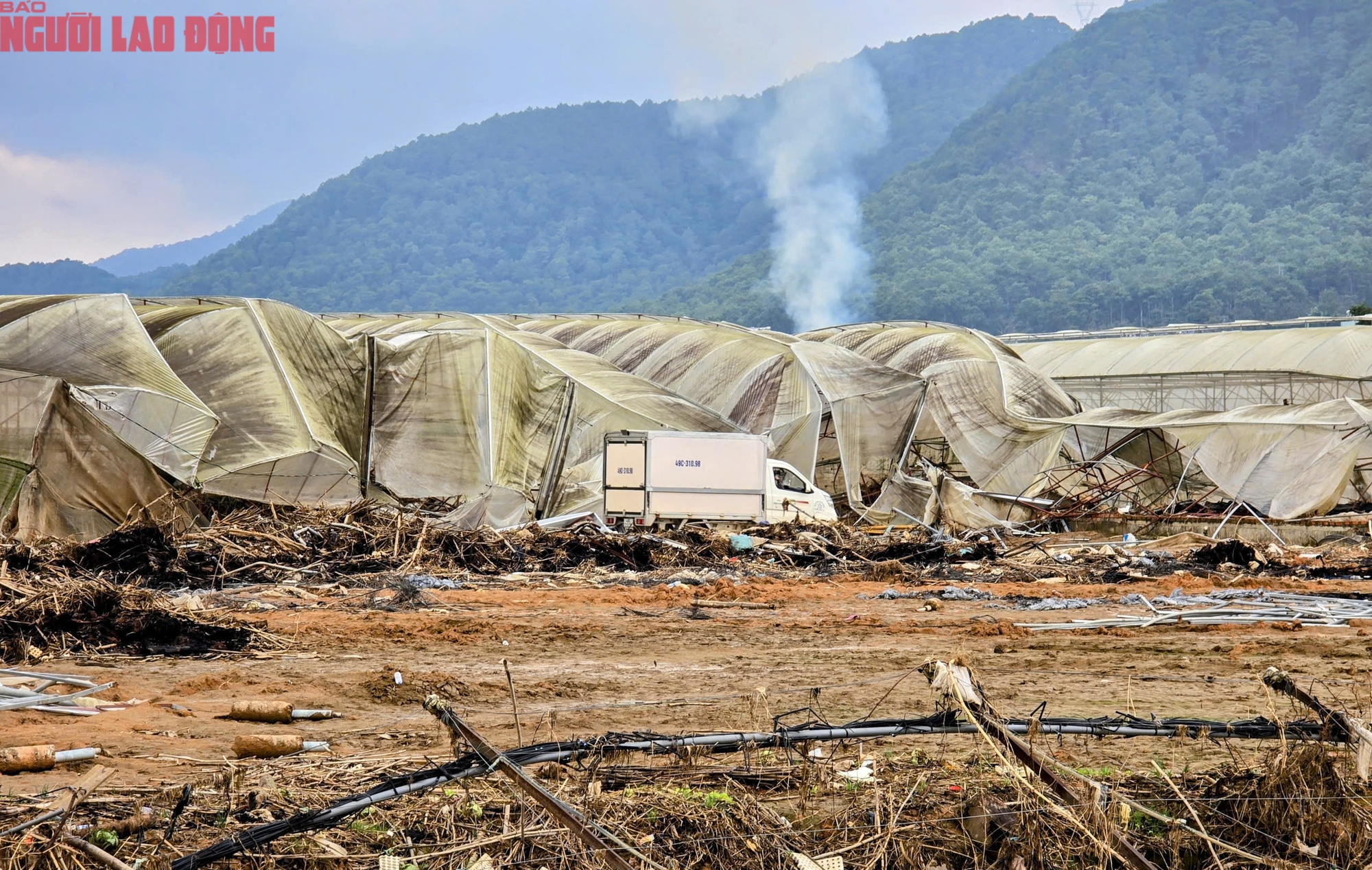 Vựa rau Lâm Đồng thiệt hại nặng nề sau cơn lũ lịch sử - Ảnh 2.