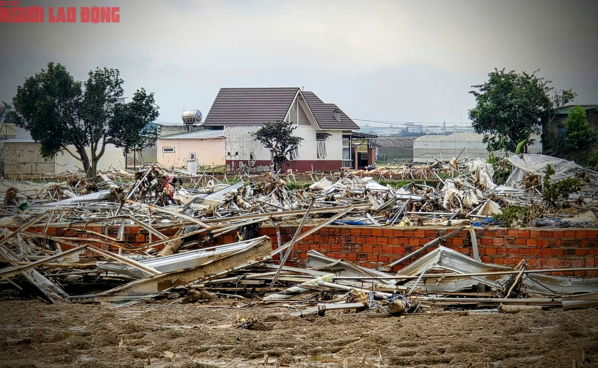 Vựa rau Lâm Đồng thiệt hại nặng nề sau cơn lũ lịch sử - Ảnh 3.