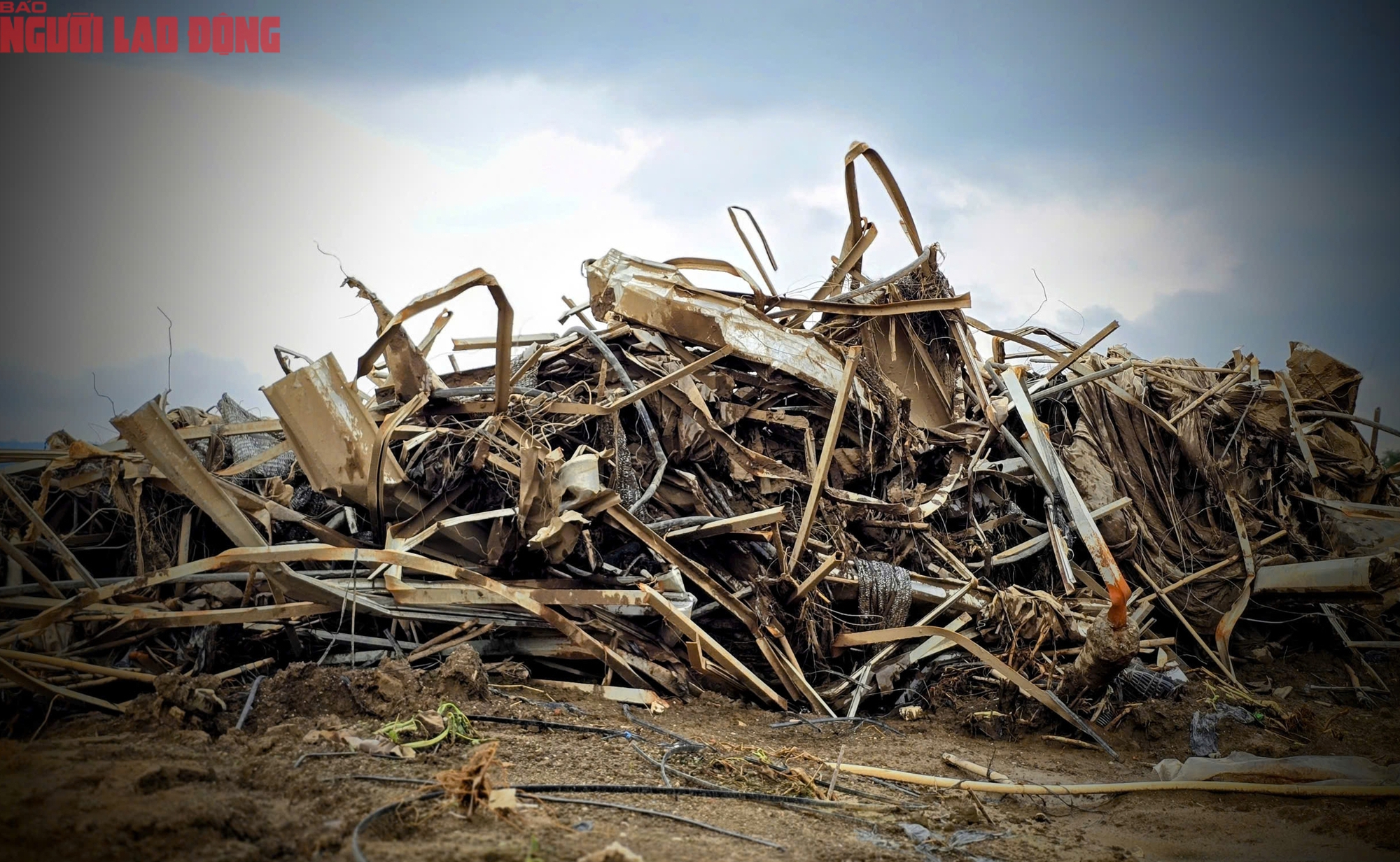 Vựa rau Lâm Đồng thiệt hại nặng nề sau cơn lũ lịch sử - Ảnh 4.