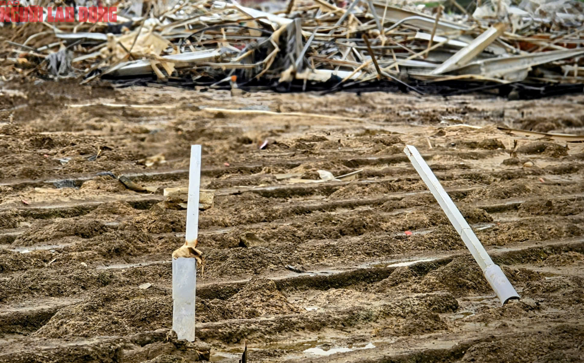 Vựa rau Lâm Đồng thiệt hại nặng nề sau cơn lũ lịch sử - Ảnh 7.