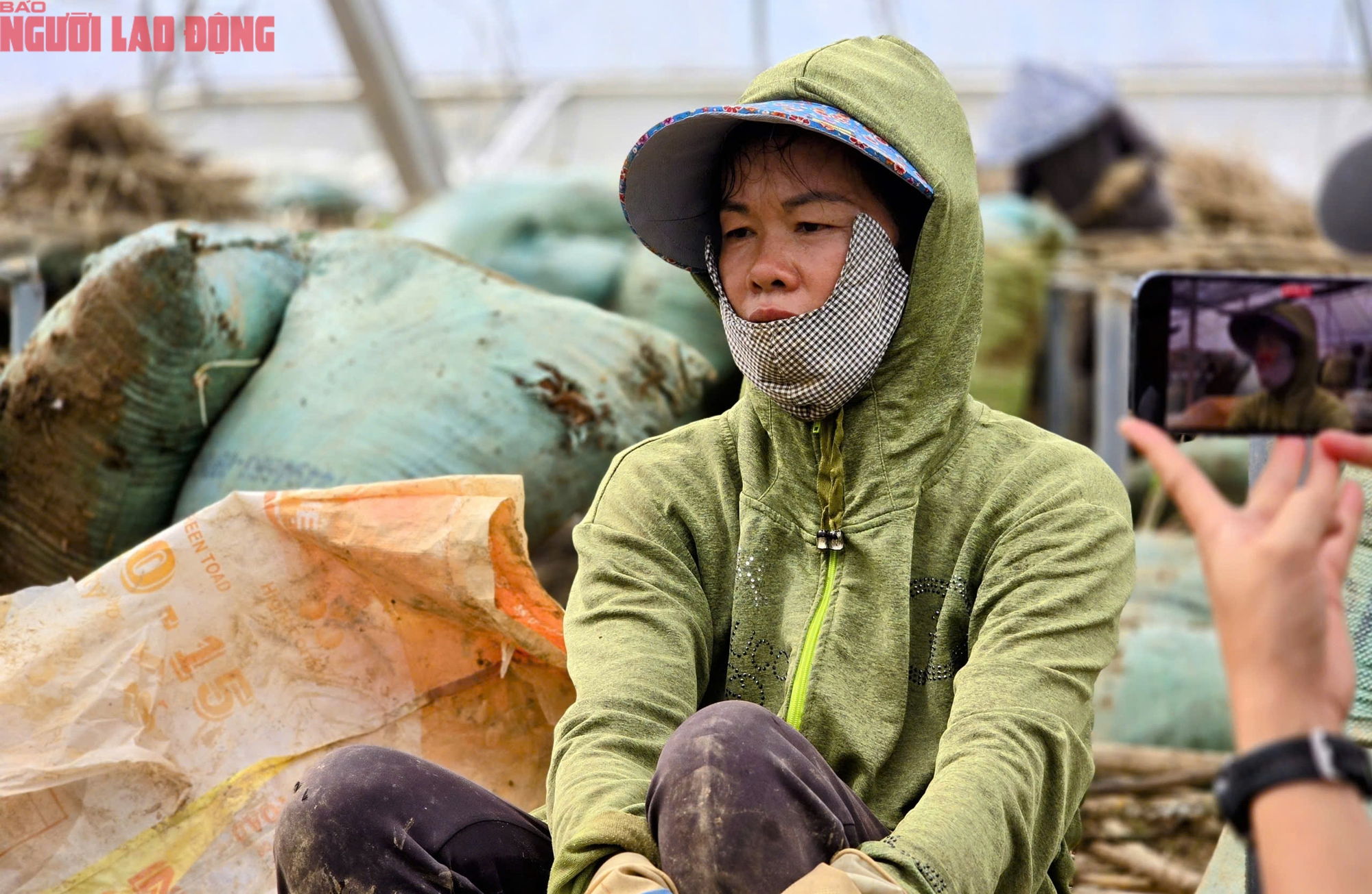 Vựa rau Lâm Đồng thiệt hại nặng nề sau cơn lũ lịch sử - Ảnh 8.