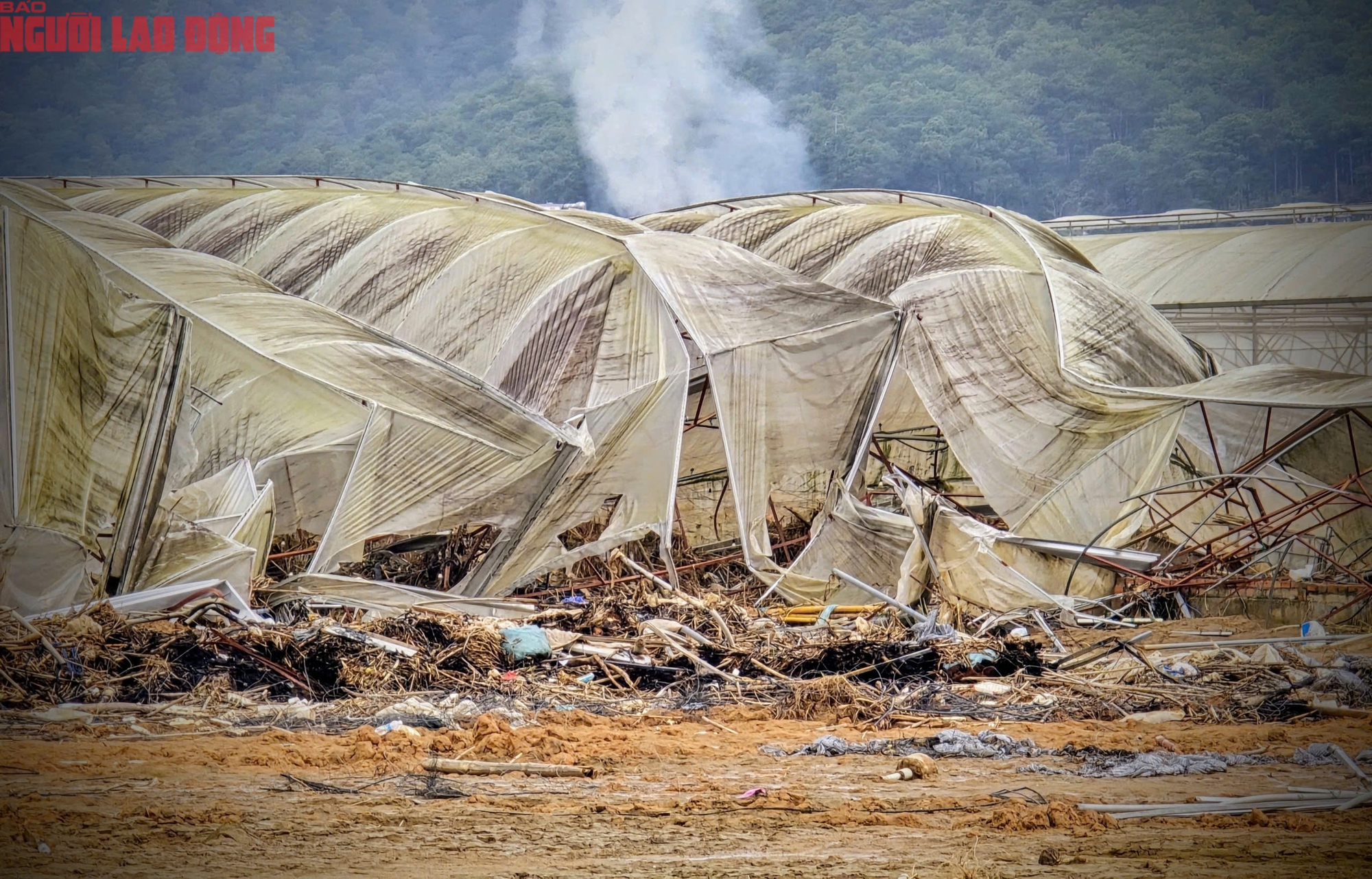 Vựa rau Lâm Đồng thiệt hại nặng nề sau cơn lũ lịch sử - Ảnh 12.