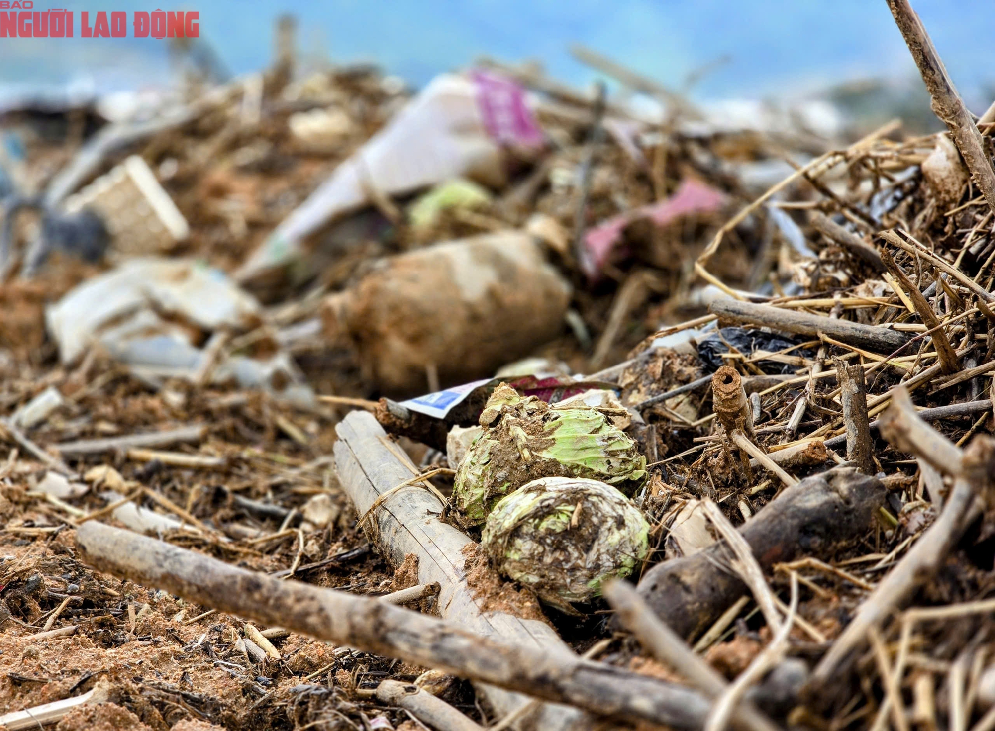 Vựa rau Lâm Đồng thiệt hại nặng nề sau cơn lũ lịch sử - Ảnh 20.