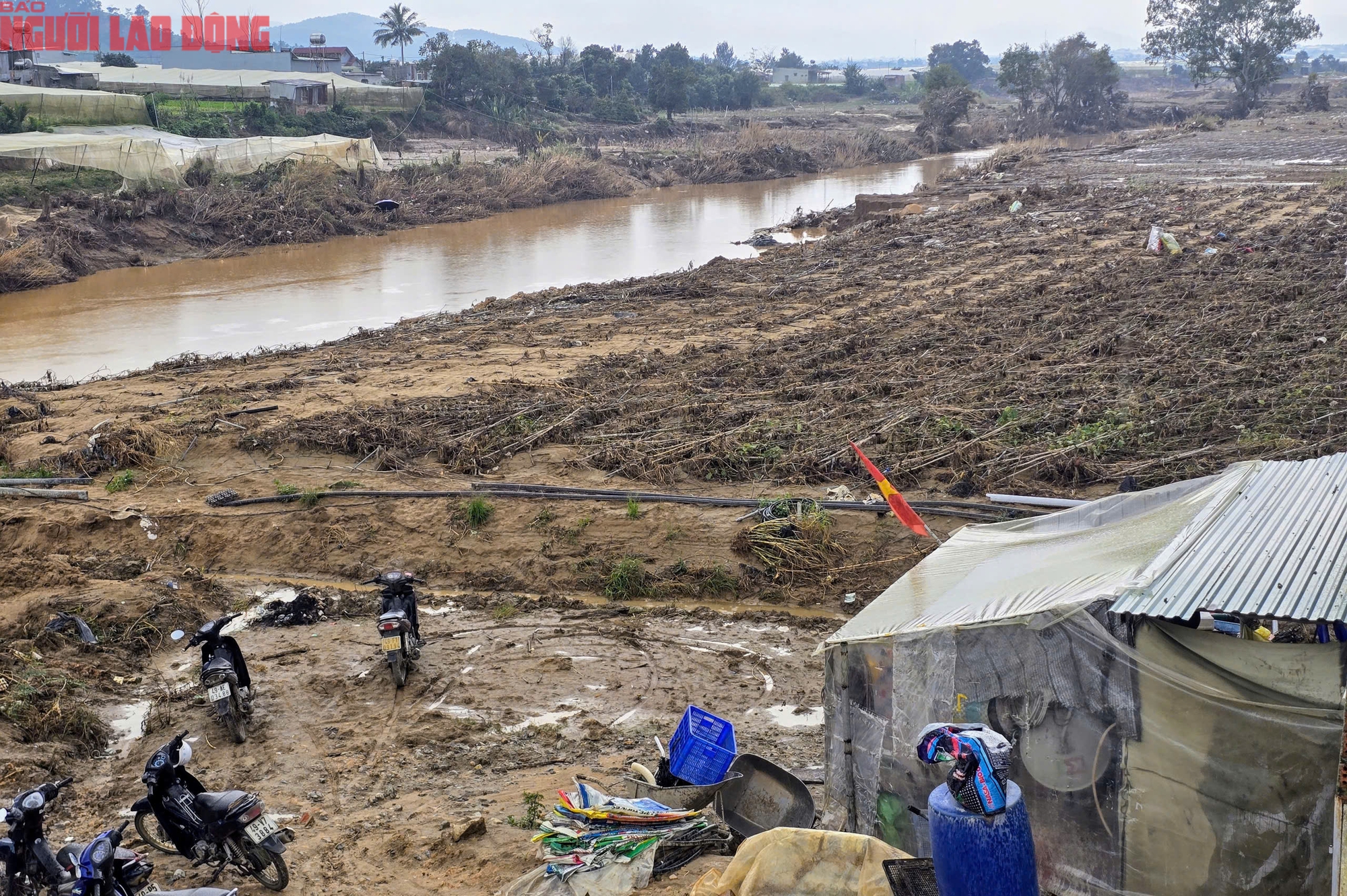 Vựa rau Lâm Đồng thiệt hại nặng nề sau cơn lũ lịch sử - Ảnh 22.