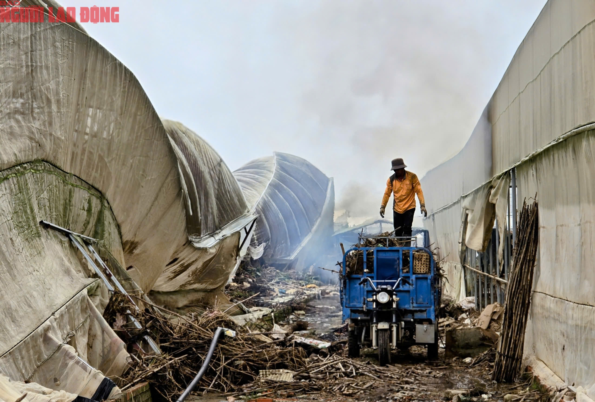 Vựa rau Lâm Đồng thiệt hại nặng nề sau cơn lũ lịch sử - Ảnh 23.