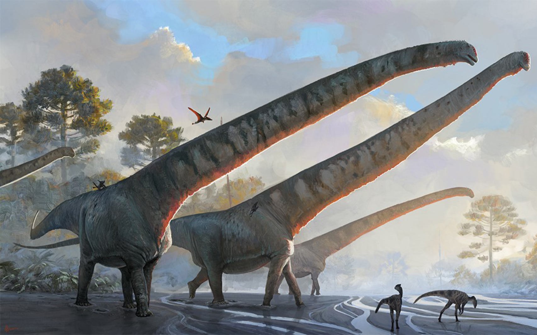 Gần 18.000 dấu chân quái vật "xới nát" công viên quốc gia - Ảnh 2.