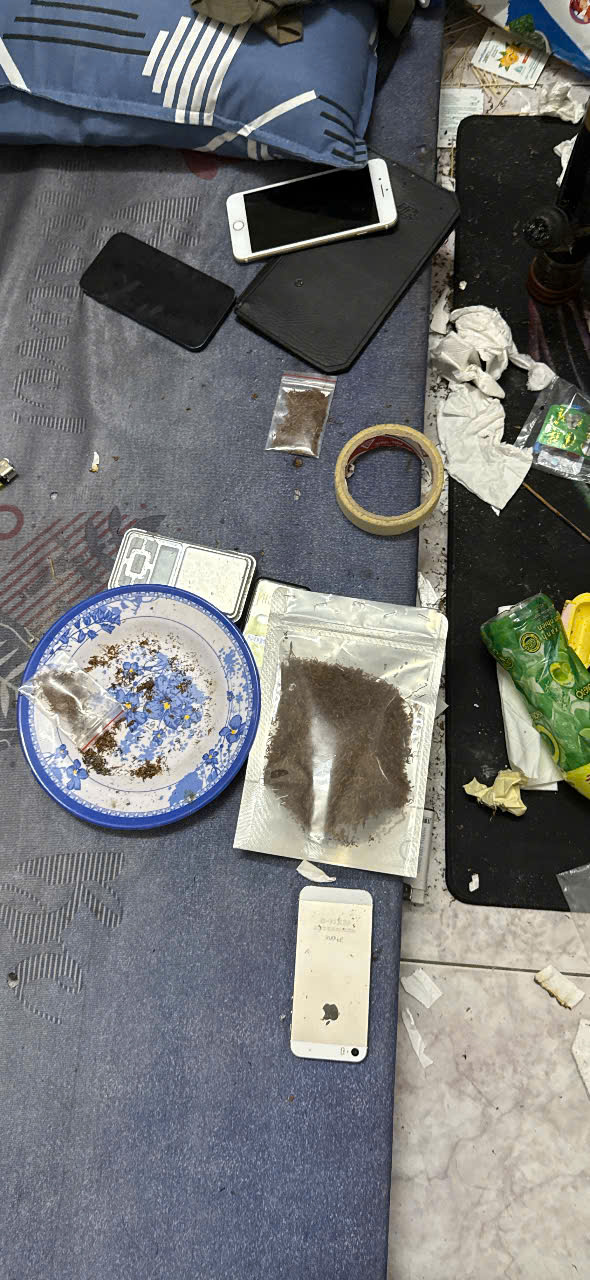 - Ảnh 4. - Ảnh 4.