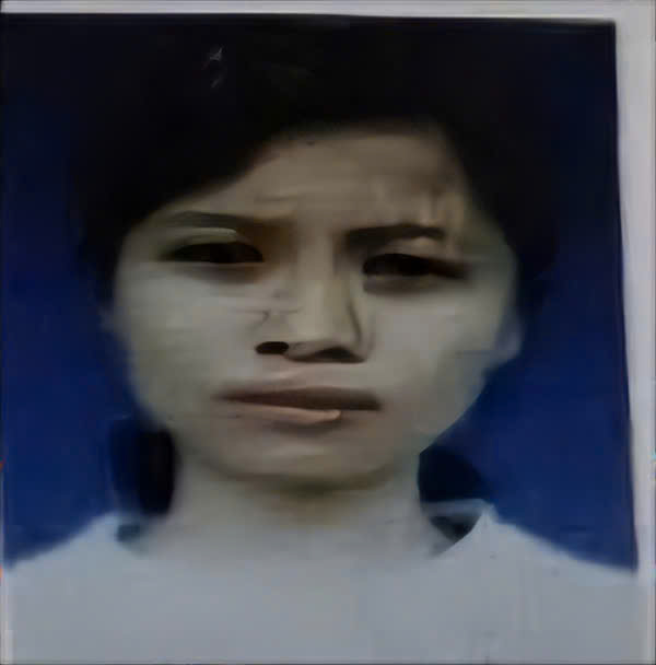 Bắt giữ người phụ nữ thay tên đổi họ, trốn nã 9 năm ở bên nước Lào - Ảnh 1.