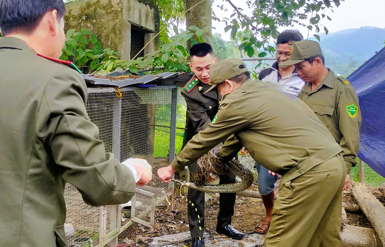 Thấy 2 con vật trong sách đỏ đi lạc vào vườn nhà, bắt giao lại công an - Ảnh 1.