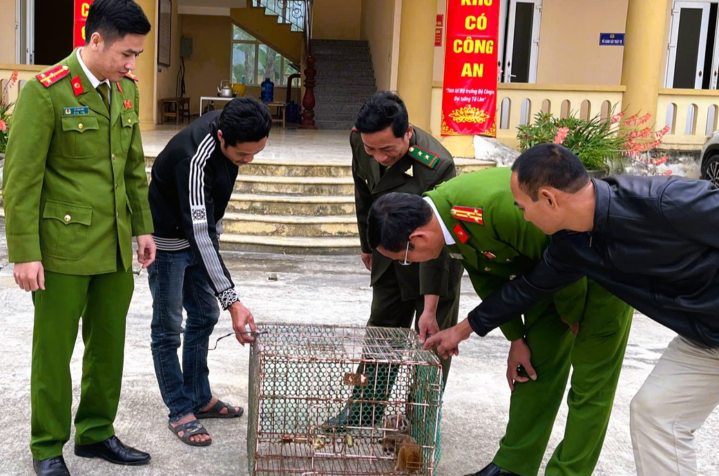 Thấy 2 con vật trong sách đỏ đi lạc vào vườn nhà, bắt giao lại công an - Ảnh 2.