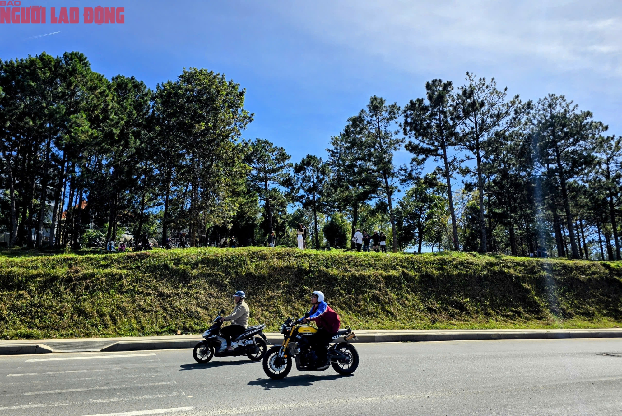 Con dốc c&oacute; view si&ecirc;u đẹp ở Đ&agrave; Lạt, mỗi ng&agrave;y thu h&uacute;t h&agrave;ng trăm du kh&aacute;ch đến check-in - Ảnh 3.