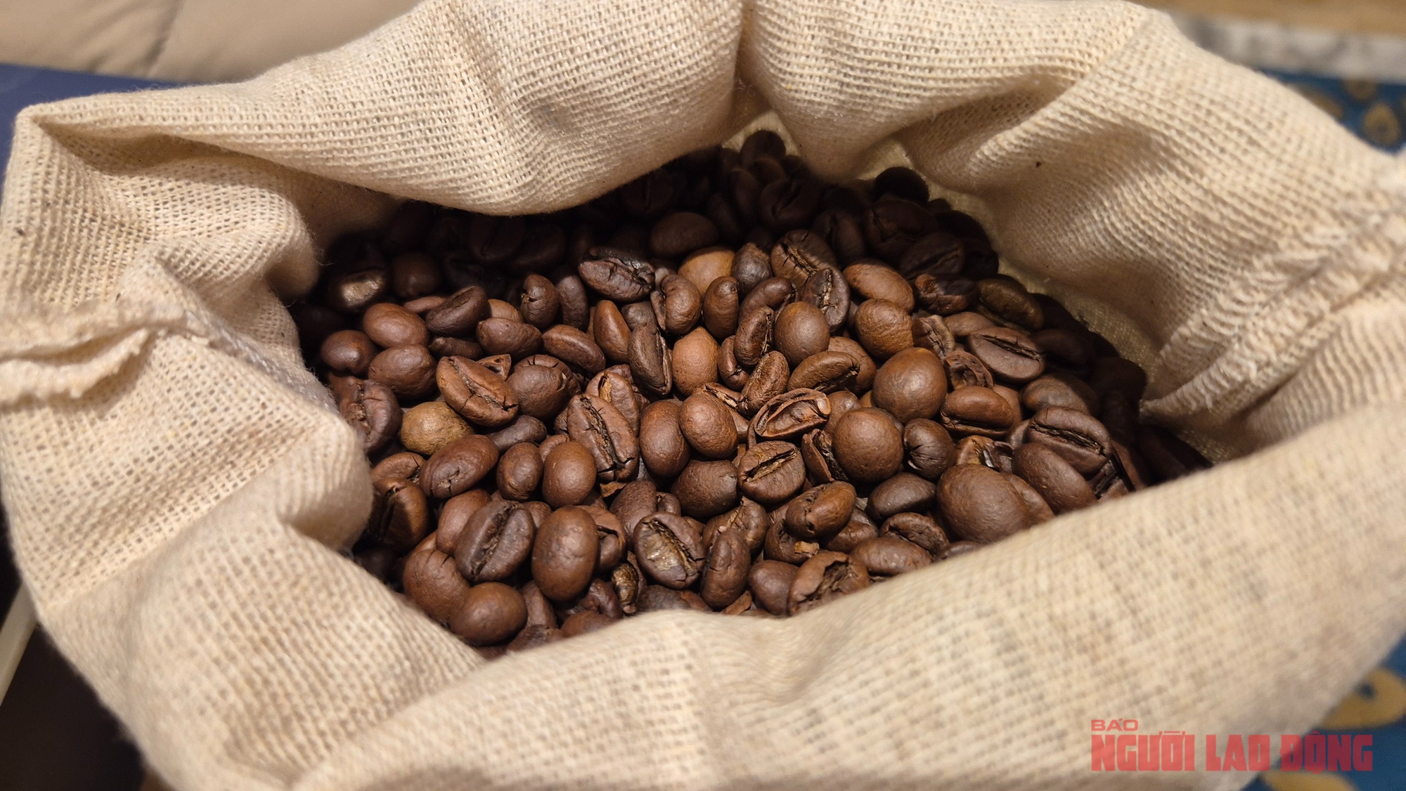 Giá cà phê hôm nay 4 - 12: Nông dân có bị ép giá giữa đà giảm giá? - Ảnh 1.