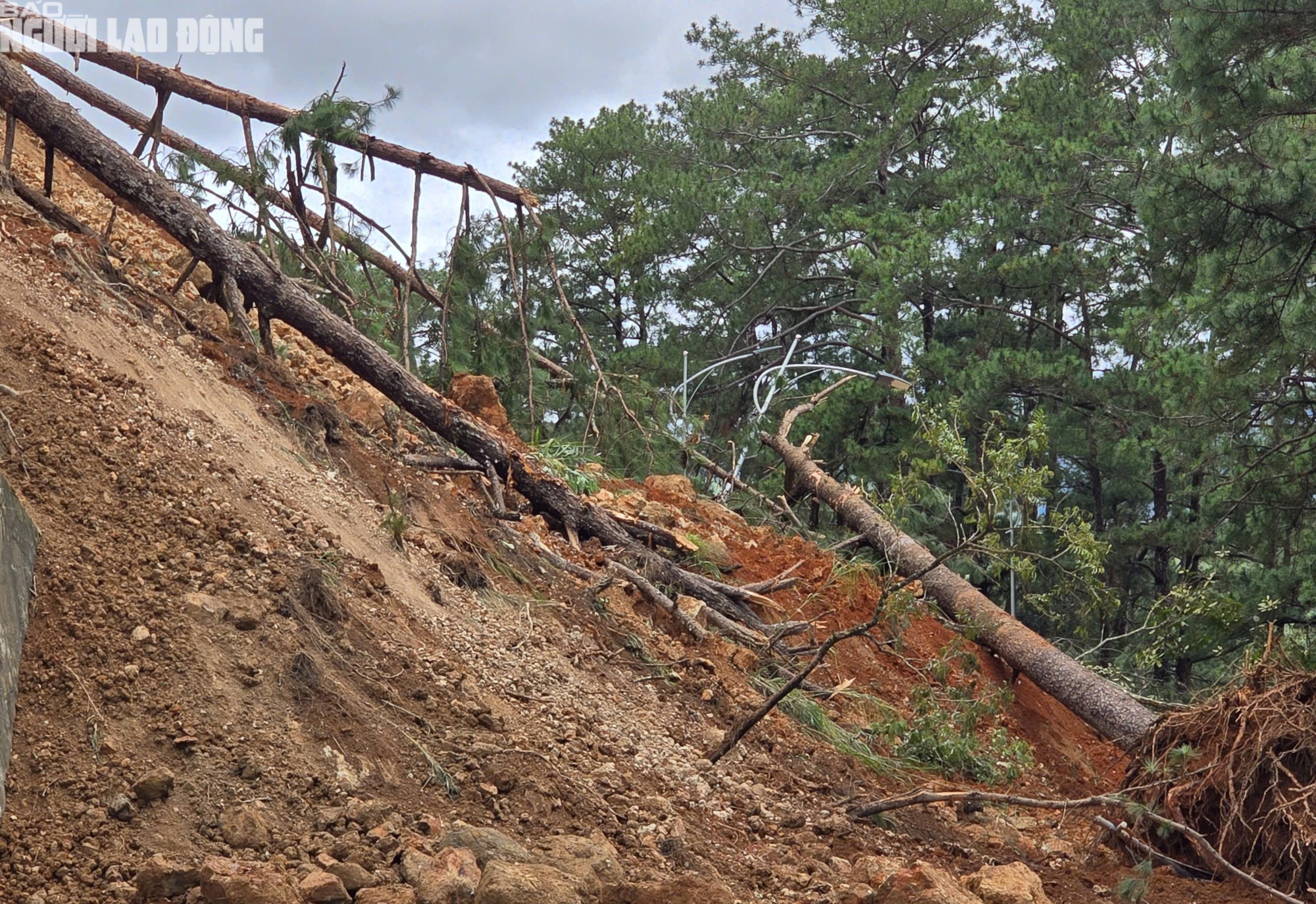 Sau Mimosa, đến lượt đèo Prenn tạm đóng vì sạt lở - Ảnh 4.