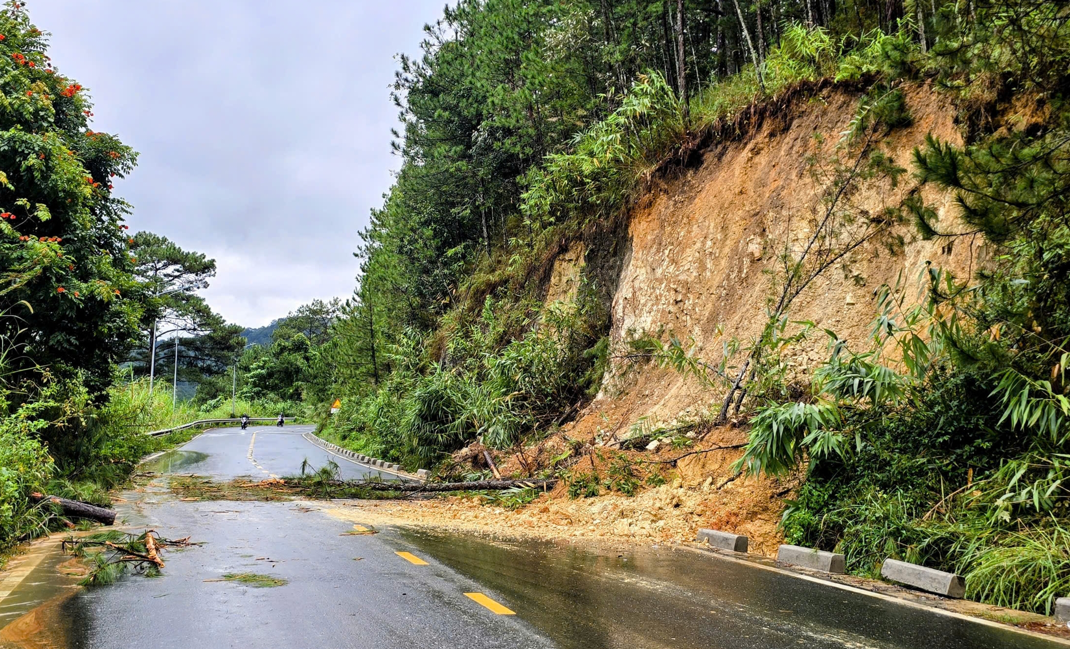 Đèo Mimosa vừa thông lại sạt lở, người dân nên đi đèo Prenn hoặc Saco Tuyền Lâm - Ảnh 10.