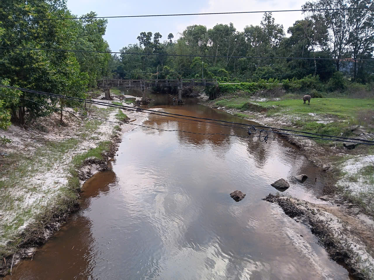 Nhà máy sản xuất dây cáp thép tại KCN Tam Thăng 2 "sẽ không gây ô nhiễm" - Ảnh 2.