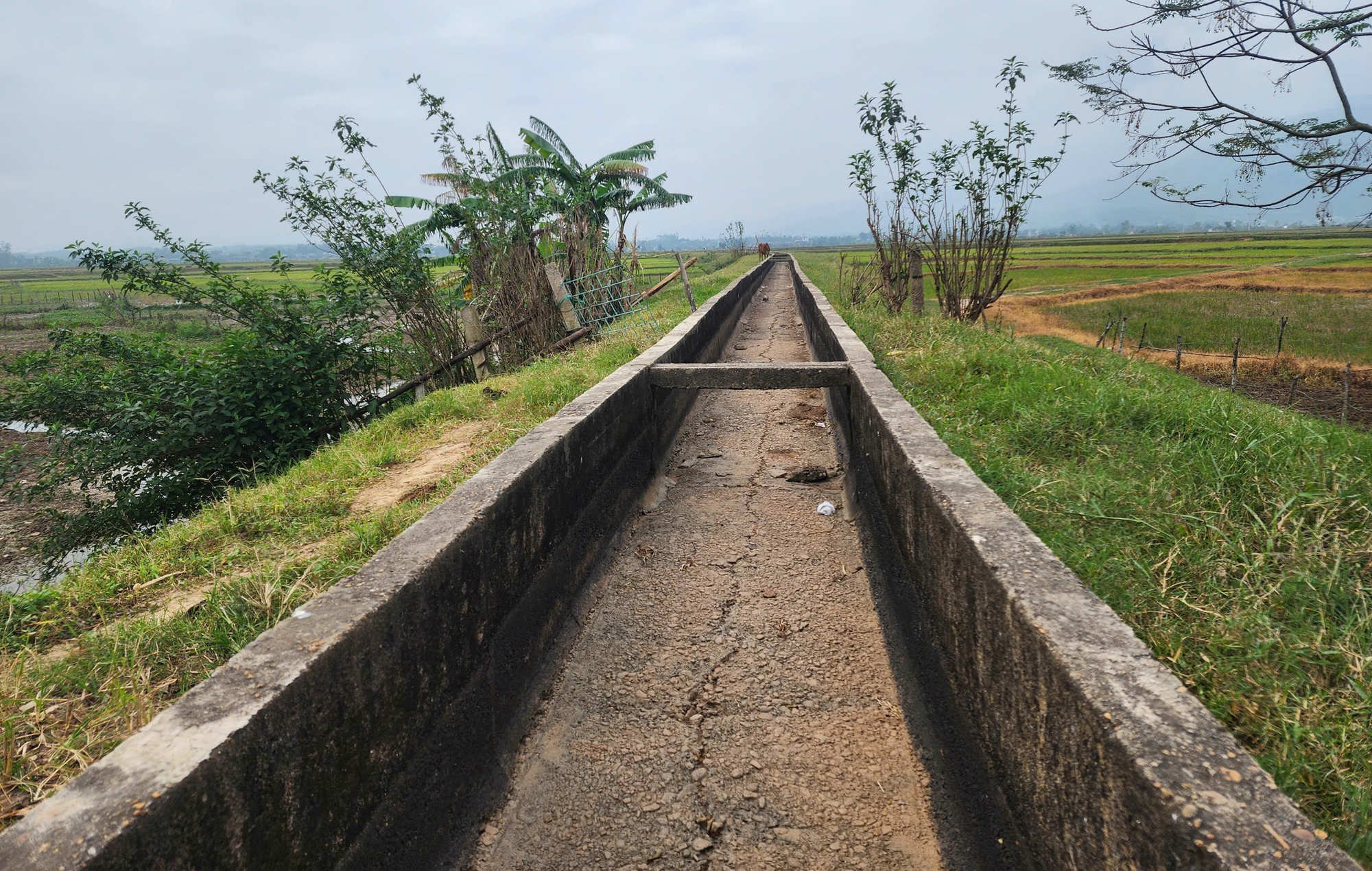 Tuyến kênh gần 30 năm tuổi xuống cấp, dân vùng quê ở Quảng Trị "kêu cứu" - Ảnh 5.