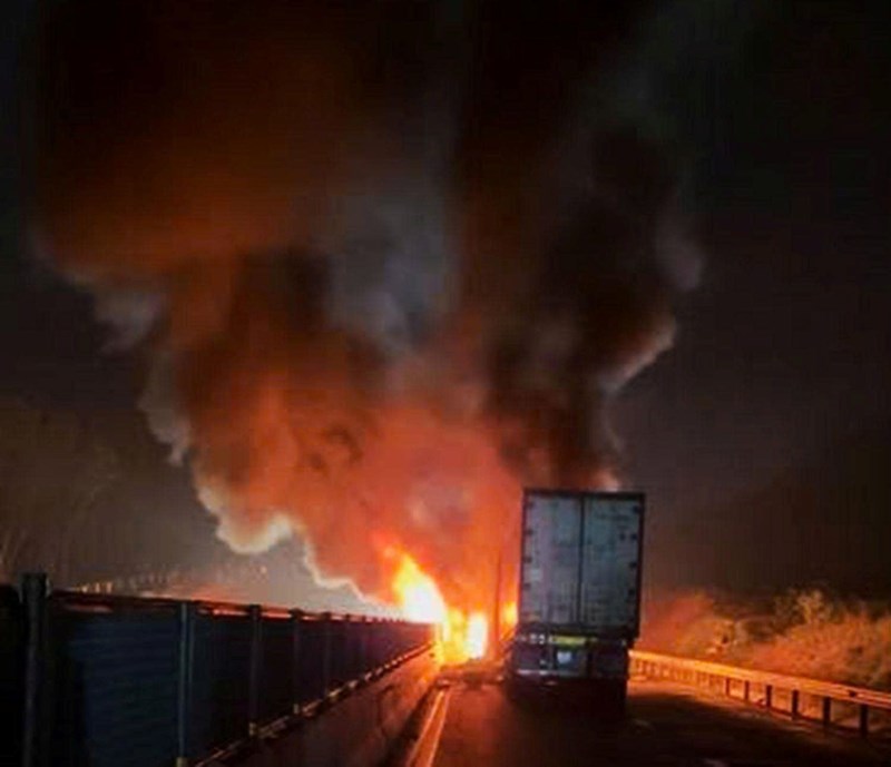 - Ảnh 2. - Ảnh 2.