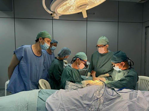 Vị bác sĩ có đôi bàn tay tài hoa - Ảnh 1. Vị bác sĩ có đôi bàn tay tài hoa - Ảnh 1.