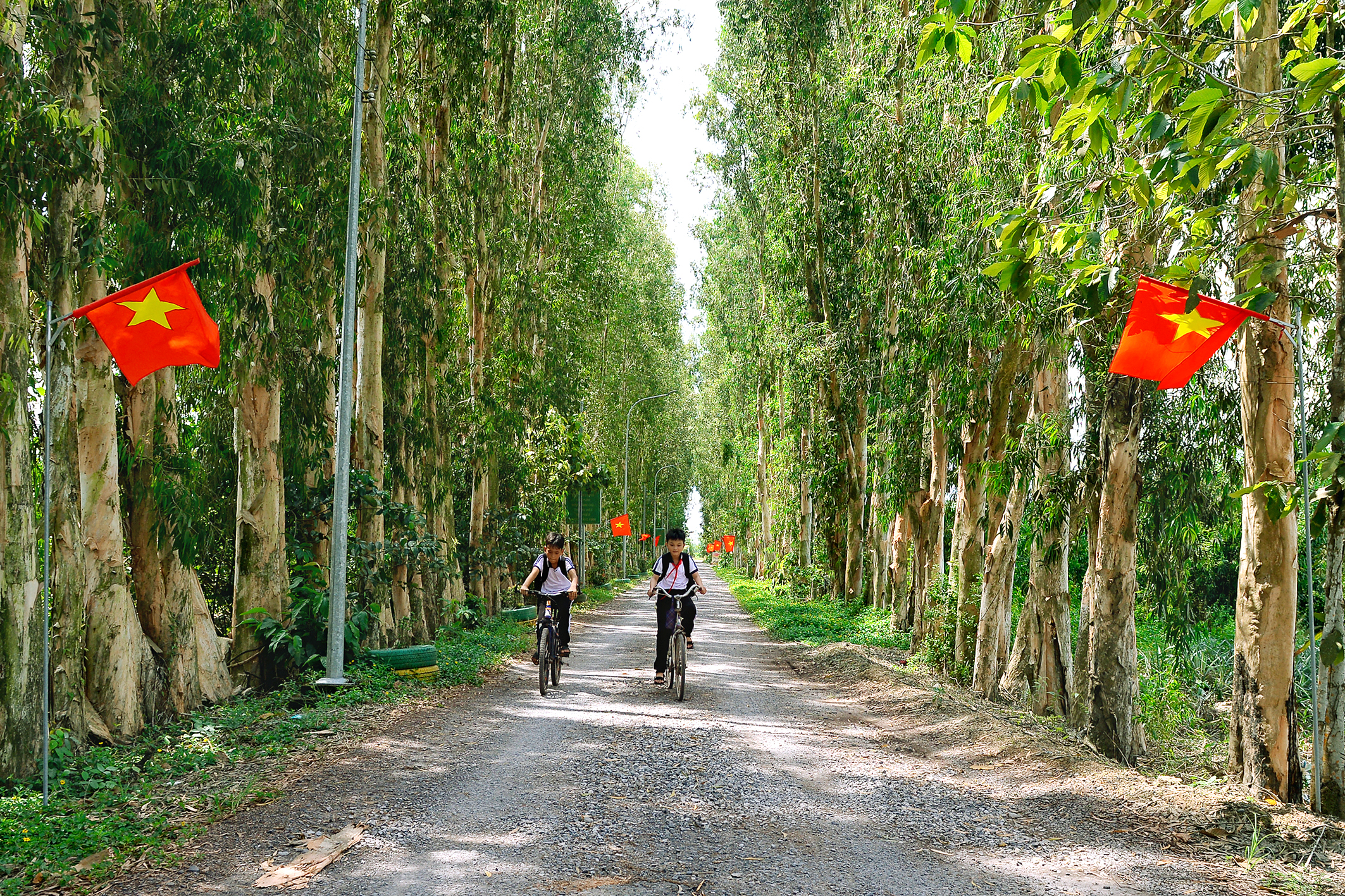 Ảnh đẹp trong tuần:  - Ảnh 1.