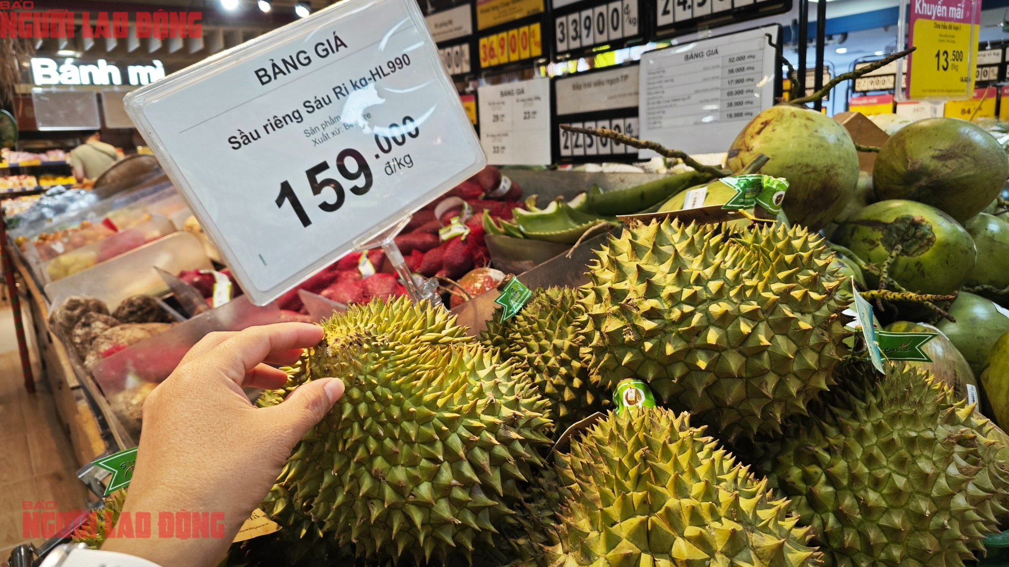 - Ảnh 3. - Ảnh 3.